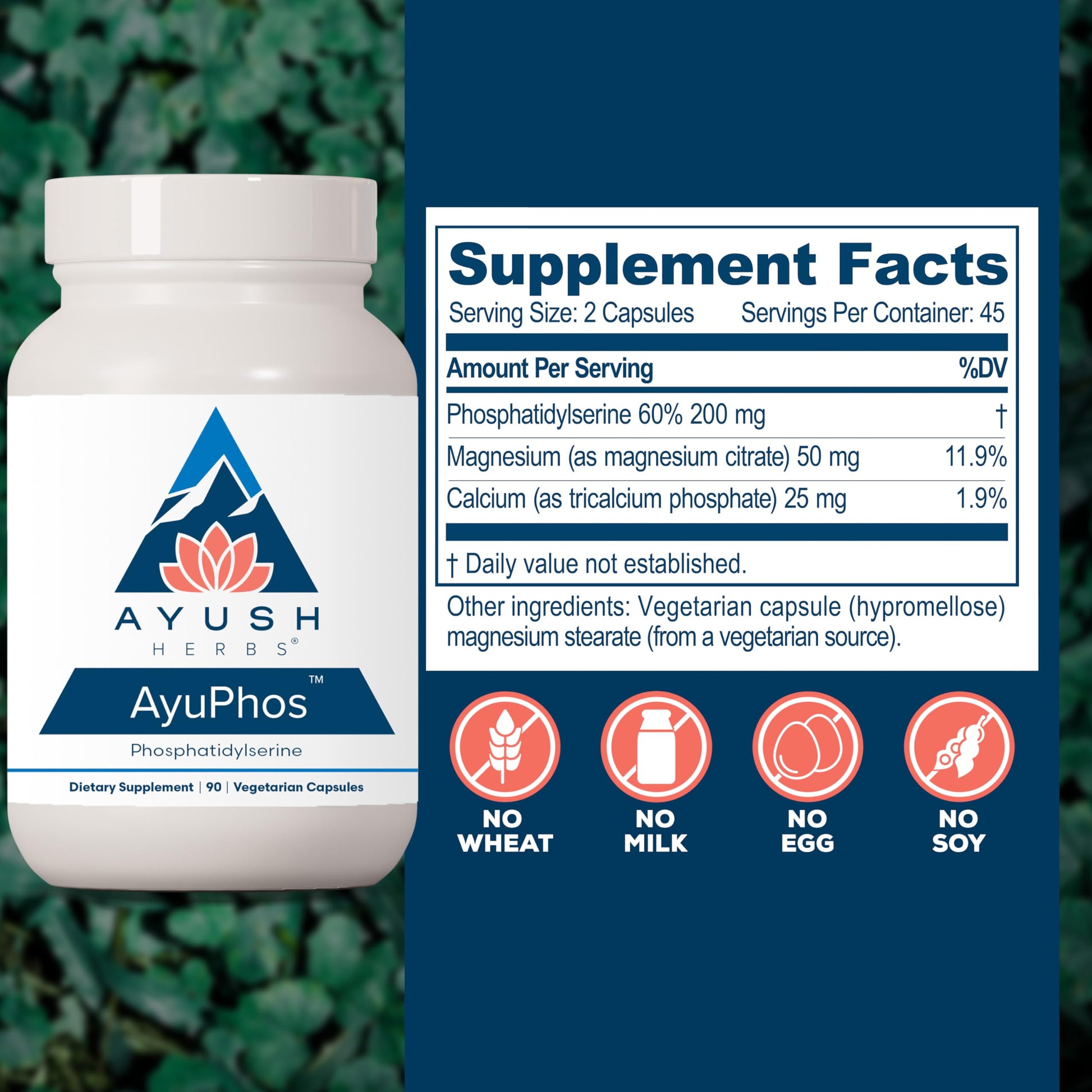 Ayush Herbs AyuPhos - Phosphatidylserine Supplement for Men & Women, Soy-Free Phosphatidyl Serine, Brain, Memory, & Cognitive Support for Adults, 200mg Per Pill - 45 Servings Ayush HerbsBuy Supplements Australia