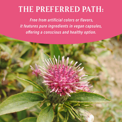 NUWONDER Women's probiotic - Natural Vaginal Support Supplement, Balanced & Confident NUWONDERBuy Supplements Australia
