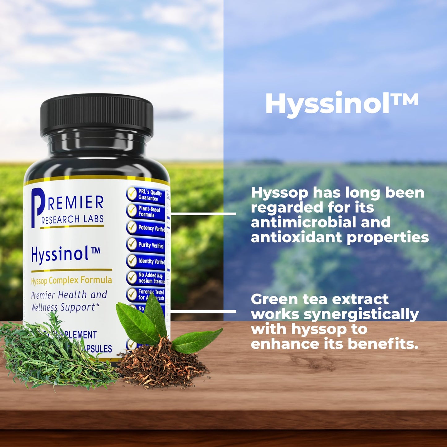 Premier Research Labs Hyssinol - Hyssop Herb, Hyssop Capsules, Wellness Pills with Organic Hyssop Dry Herb, Dietary Supplement with Green Tea, Antioxidant Support - 60 Vegetarian Capsules Premier Research LabsBuy Supplements Australia