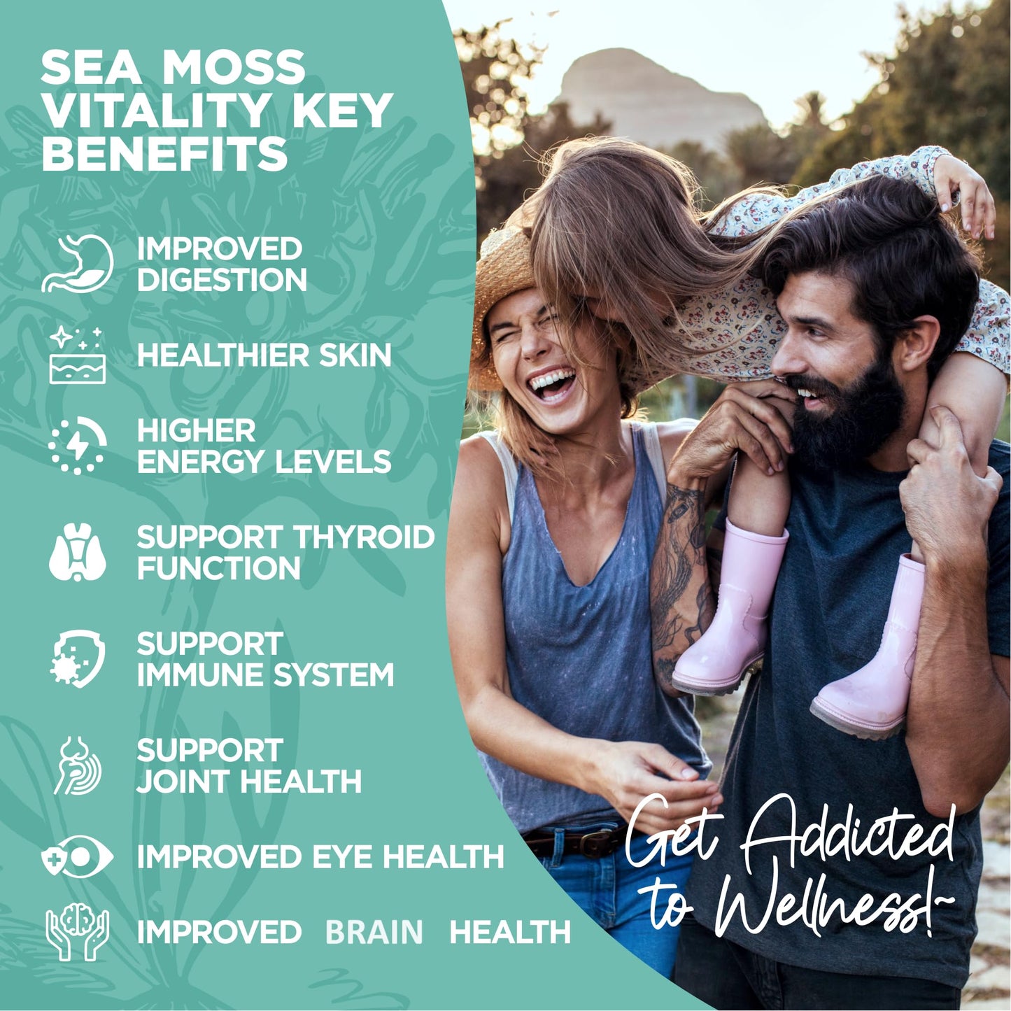 HerbaMe Organic Irish Sea Moss with Bladderwrack, Burdock Root & Black Pepper Extract, 150 Capsules, Thyroid Support, Natural Iodine Source, Promotes Immune System, Cell Food, Alkaline Supplement HerbaMeBuy Supplements Australia