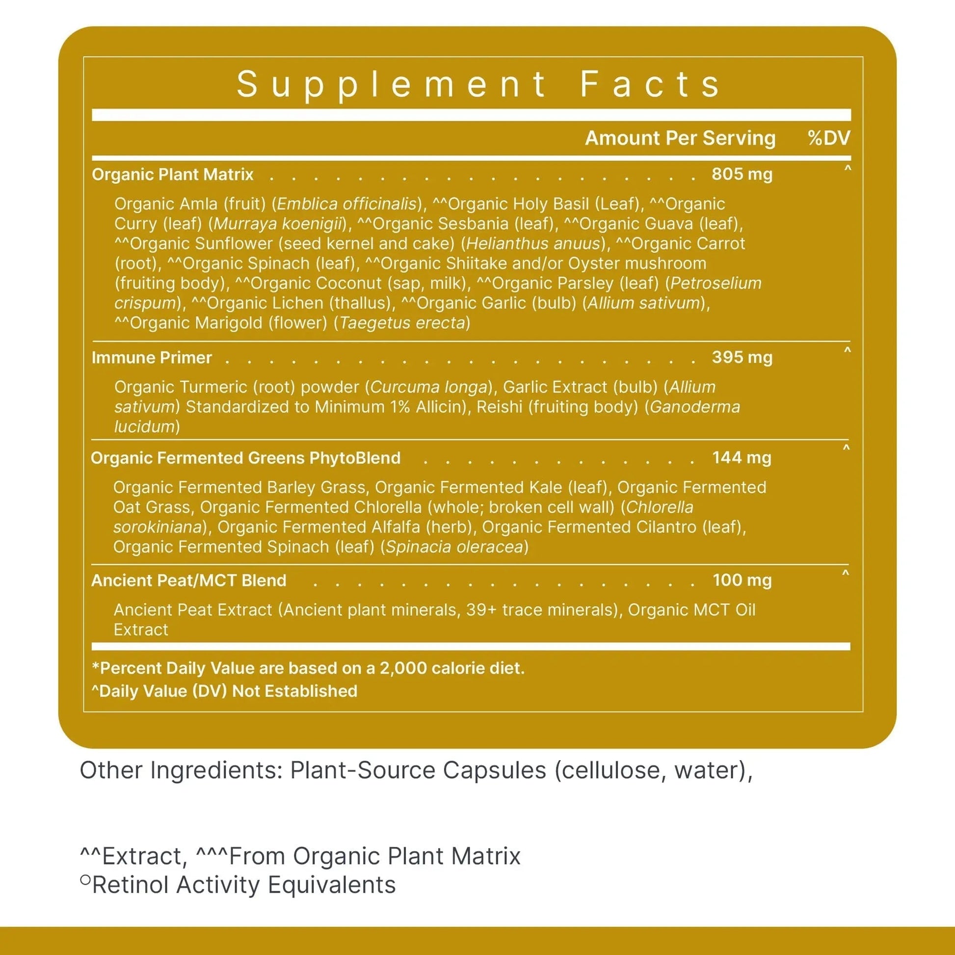 Premier Research Labs Multi-Vitamin - Immune, Brain & Heart Support | with Prebiotics and Postbiotics | Vegan Capsules for Men & Women Premier Research Labs