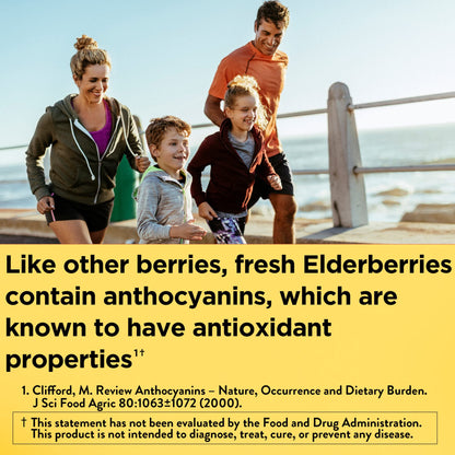 Nature Made Elderberry 400 mg Extract with Vitamin C and Zinc, Dietary Supplement Nature MadeBuy Supplements Australia