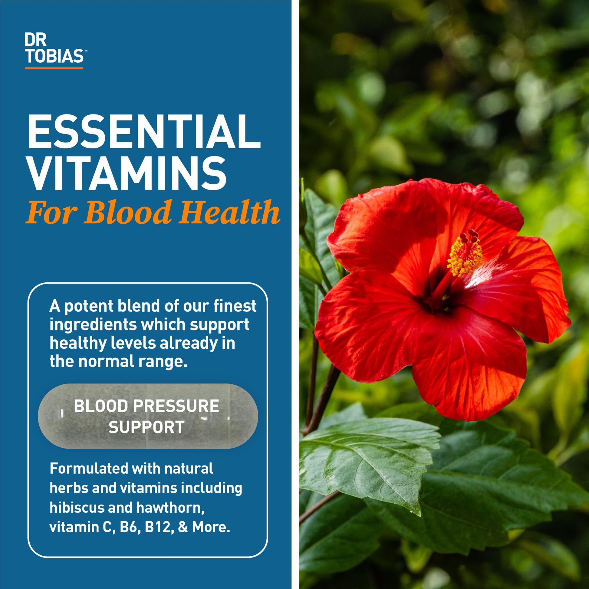 Dr. Tobias Blood Pressure Support Supplement with Hawthorn, Hibiscus Flower, Olive Leaf & Garlic, Supports Normal Circulatory Health with Vitamins C, B6, B12, Niacin, Folate & Herbs, 90 Capsules Dr. TobiasBuy Supplements Australia