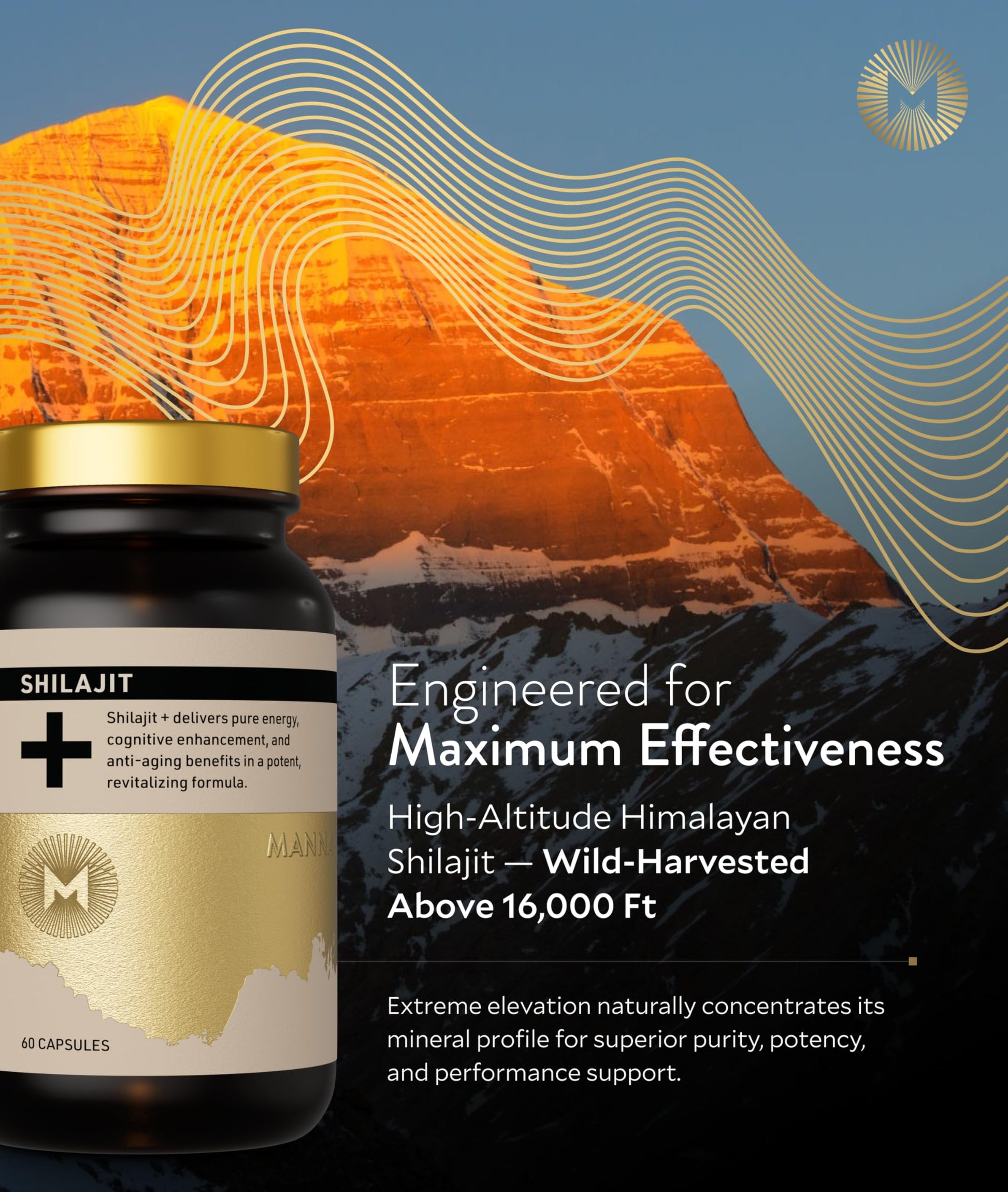 Manna Vitality Shilajit+ Capsules | 1000mg Purified Himalayan Shilajit Resin Supplement | Highest Bioavailability | Energy, Performance, Detox, Vitality, Mental Clarity & Cognitive Support | 60 Count M MannaBuy Supplements Australia