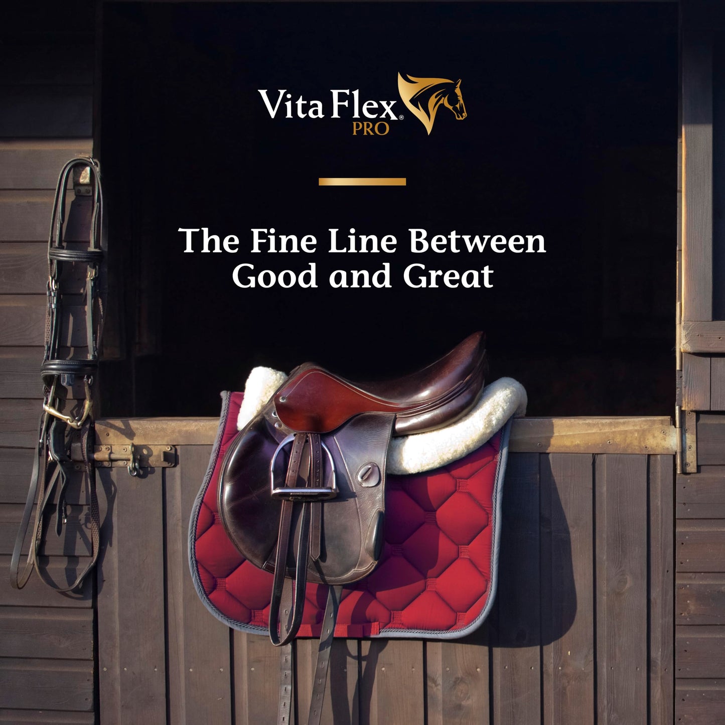 Vita Flex Pro Recovery by the Makers of Lactanase, Post Performance Horse Supplements 40 g, Show Safe Muscle Recovery Supplements, Amino Acids for Horses, Strength & Joint Health Vita FlexBuy Supplements Australia