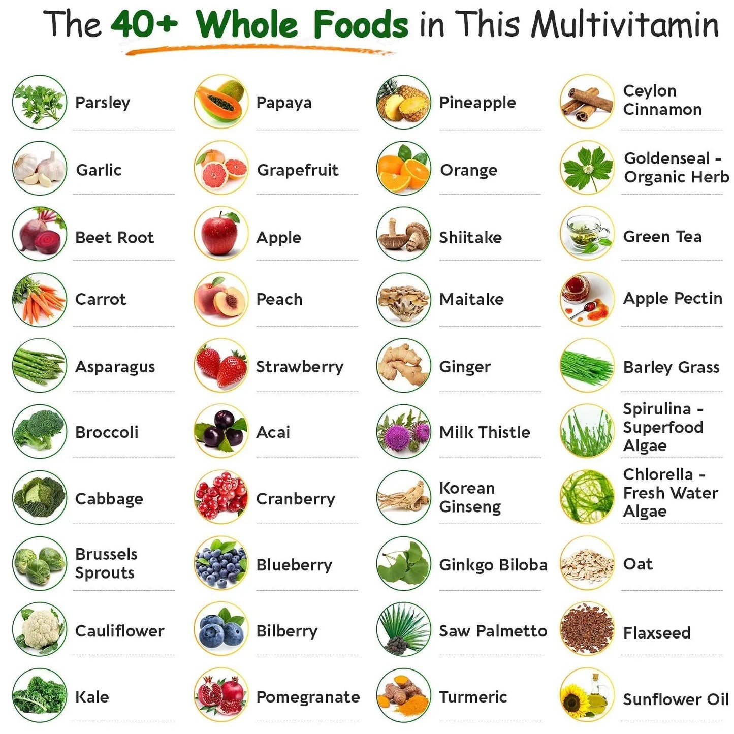 Wholesome Wellness Whole Food Multivitamin for Men - Natural Multi Vitamins, Minerals, Organic Extracts - Vegan Vegetarian - 120 Tablets Wholesome Wellness