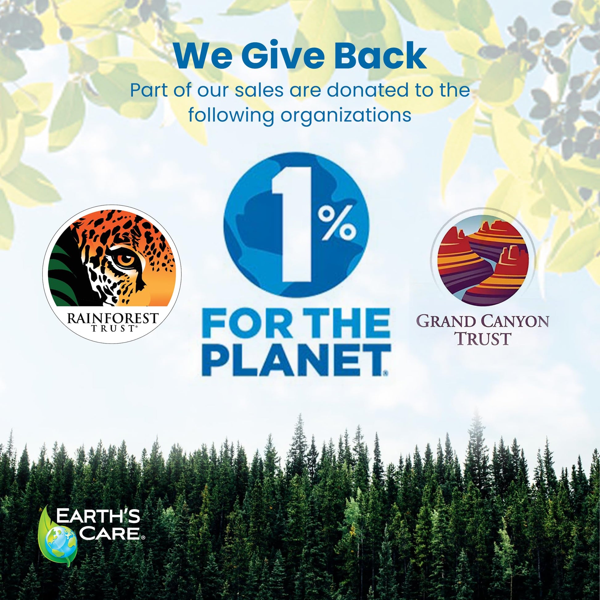 Earth's Care Pain Relieving Ointment - Triple Action Muscle and Joint Pain Relief Cream - Topical Analgesic 2.5 oz (3 Jars) Earth's CareBuy Supplements Australia