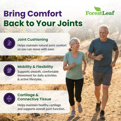 ForestLeaf Glucosamine Chondroitin MSM Joint Supplement Complex - 1200mg - 120 Caps ForestLeafBuy Supplements Australia