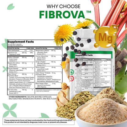 Fiber Supplement Capsules Slippery Elm Psyllium Husk Cascara Sagrada Dandelion Root Turmeric Supplement Aloe Vera Licorice Senna Marshmallow Root Digestive Health Cleanse 90 Pills by Clean Nutra Clean NutraceuticalsBuy Supplements Australia