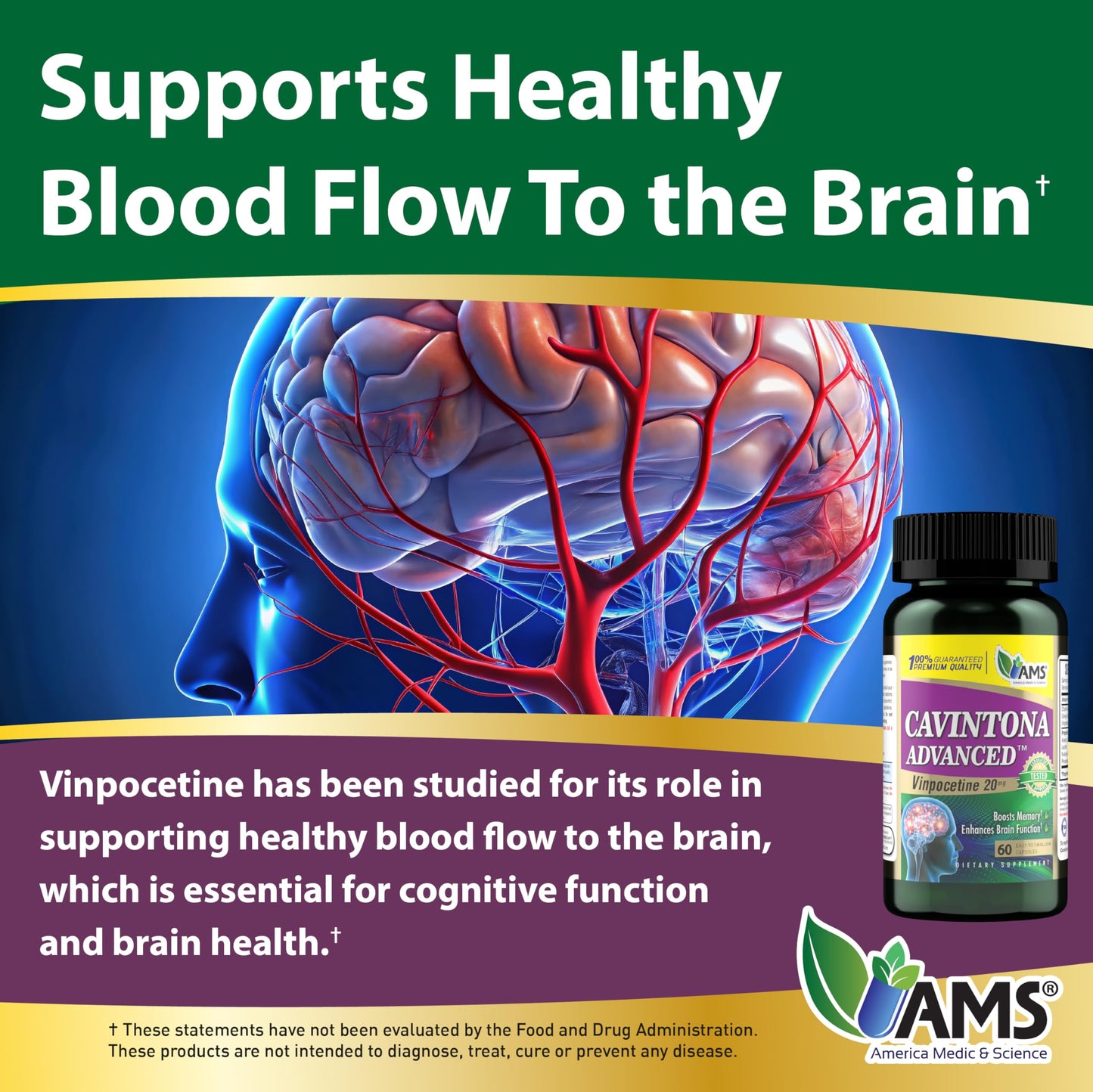 America Medic & Science Cavintona Advanced Supplement – Vinpocetine 20mg for Memory, Recall & Brain Health – Supports Cognitive Function, Focus, Mental Clarity & Blood Flow – 60 Capsules America Medic & ScienceBuy Supplements Australia