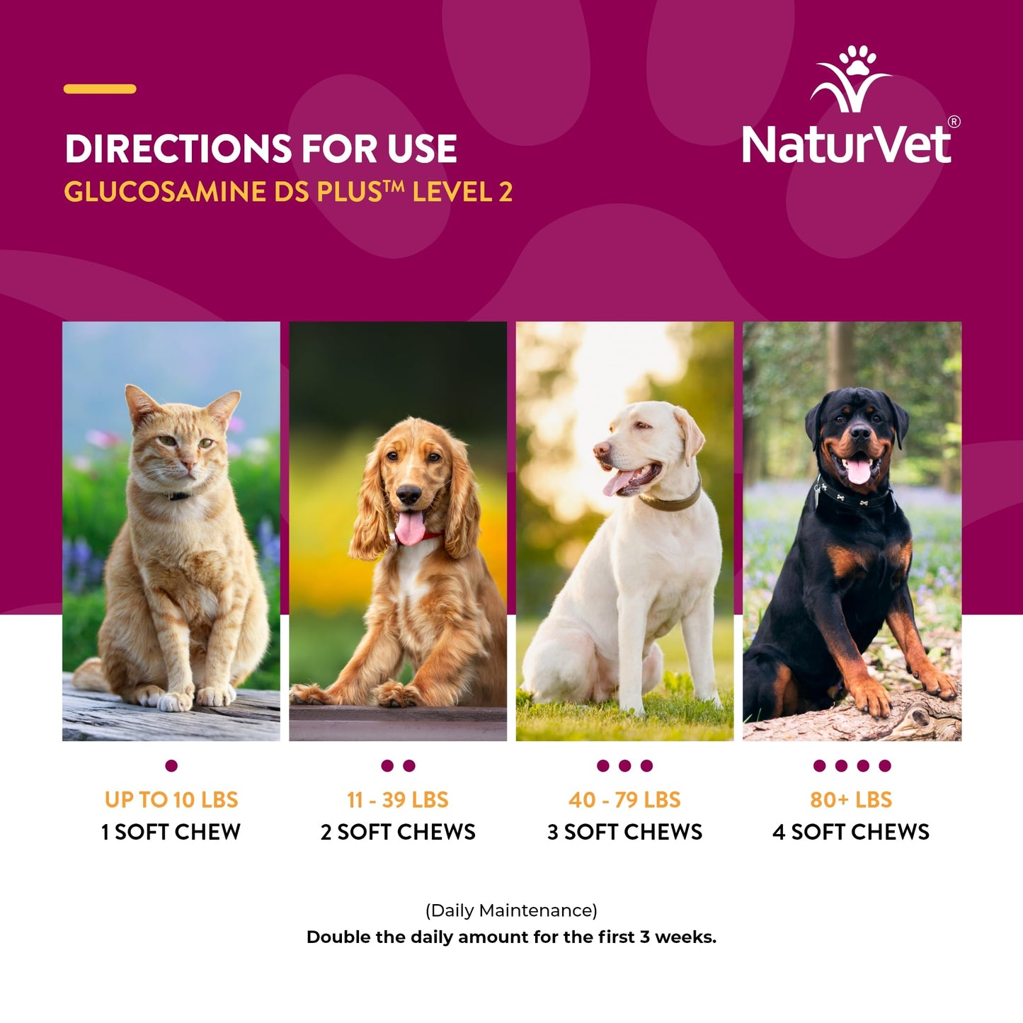 NaturVet – Glucosamine DS Plus - Level 2 Moderate Care – Supports Healthy Hip & Joint Function – Enhanced with Glucosamine, MSM & Chondroitin – for Dogs & Cats–120 Soft Chews NaturVetBuy Supplements Australia