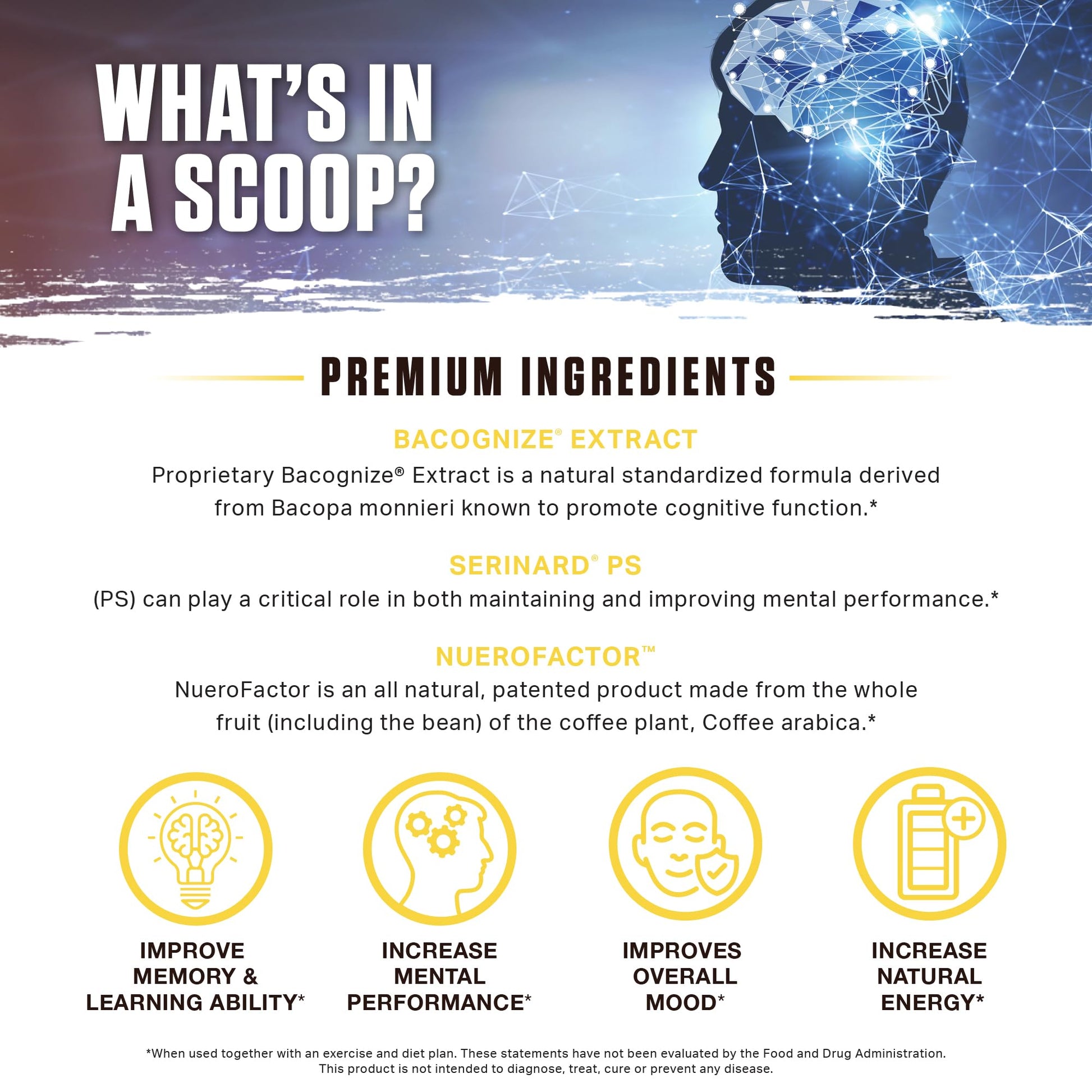 Ambrosia Mental Jewels Nootropic Brain Supplement Powder | Alpha GPC, Bacopa & Phosphatidylserine | Memory, Focus & Concentration Support | 30 Servings | Cherry Limeade AmbrosiaBuy Supplements Australia