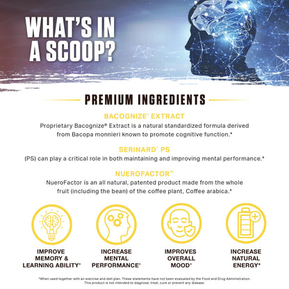 Ambrosia Mental Jewels Nootropic Brain Supplement Powder | Alpha GPC, Bacopa & Phosphatidylserine | Memory, Focus & Concentration Support | 30 Servings | Cherry Limeade AmbrosiaBuy Supplements Australia