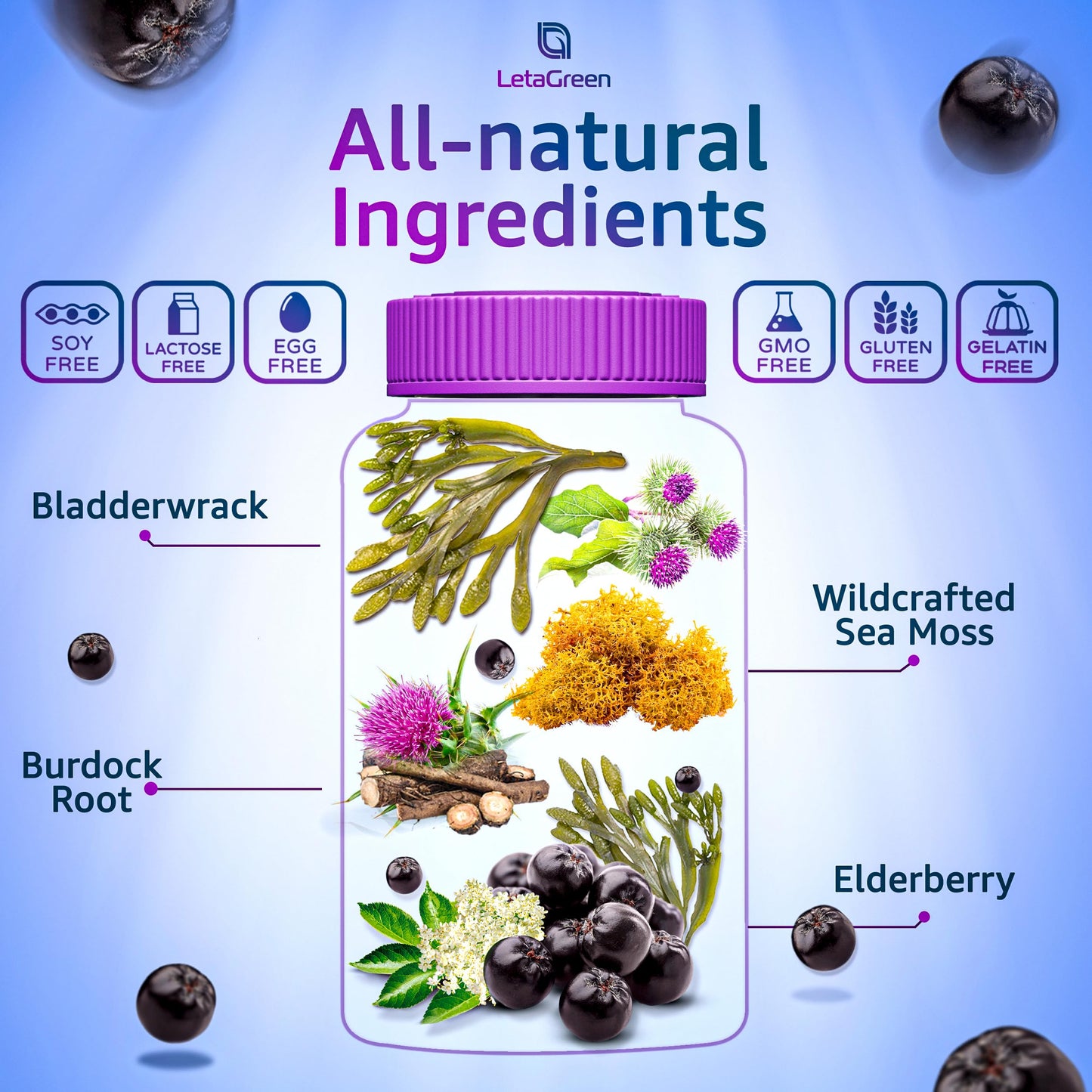 LetaGreen Irish Sea Moss Gummies - 60 Vegan Seamoss Gummies Bears LetaGreenBuy Supplements Australia