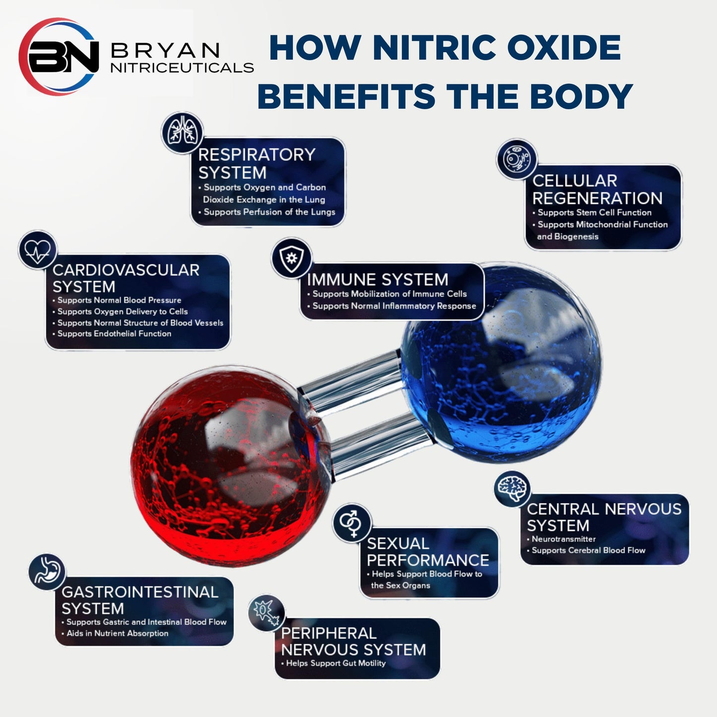 Bryan Nitriceuticals N.O. Beetz Nitric Oxide Fueled Energy Boost Supplement, Hydration & Cellular Energy Production Enhancer, Blend of Vitamins and Minerals (30 Servings) Bryan NitriceuticalsBuy Supplements Australia