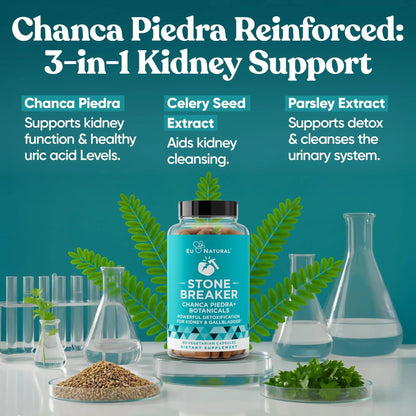 Chanca Piedra Stone Breaker - The Original Stone Breaking Formula with Celery Seed & Parsley - Supports Kidney, Gallbladder & Urinary Tract Cleansing to Help Flush Impurities - 60 Vegetarian Capsules Eu NaturalBuy Supplements Australia