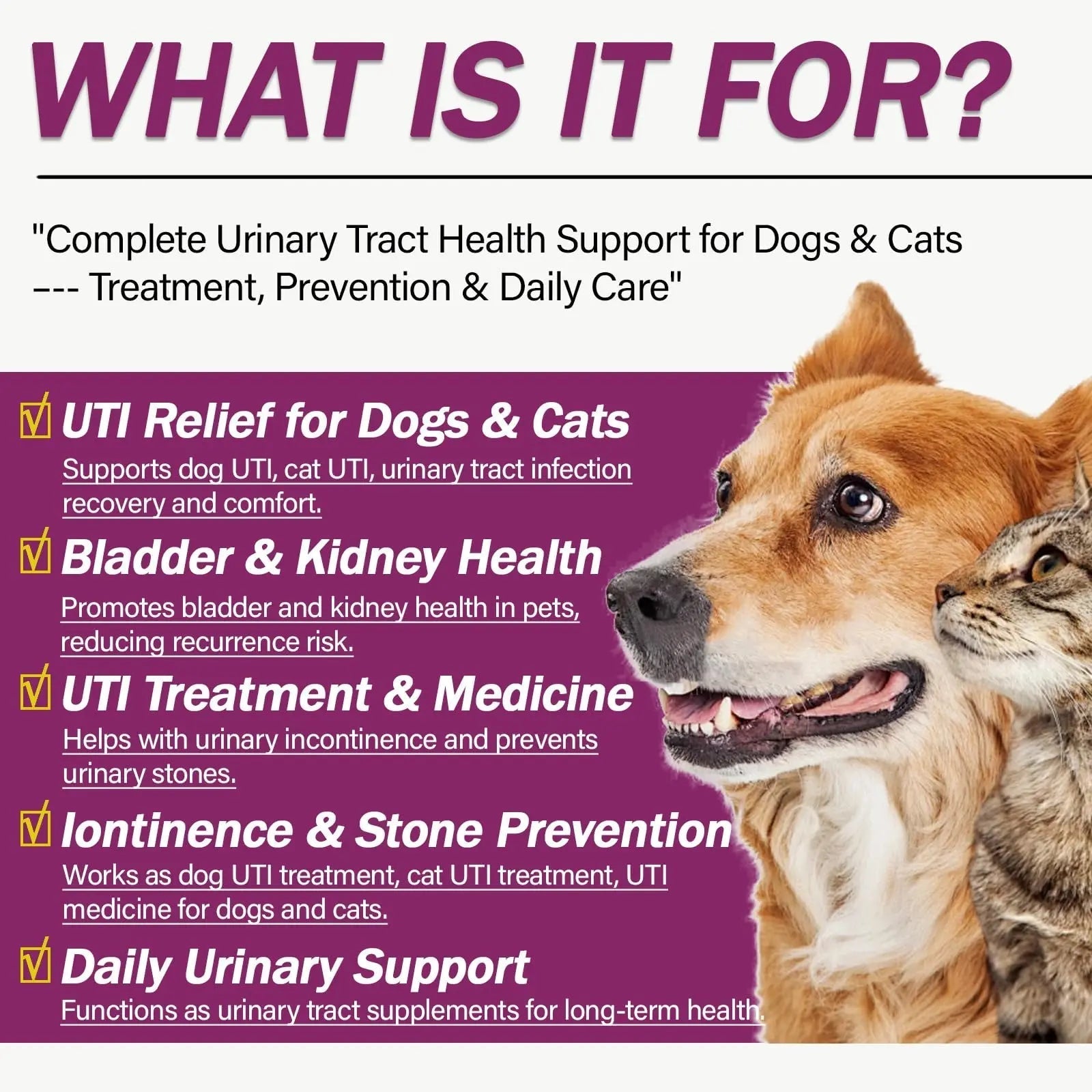 NUTRIARISE Natural UTI Treatment for Cats & Dogs – Antibiotic-Free Urinary Tract Infection Support Supplement – Bladder & Kidney Health – Incontinence Prevention – 30 Capsules NUTRIARISEBuy Supplements Australia