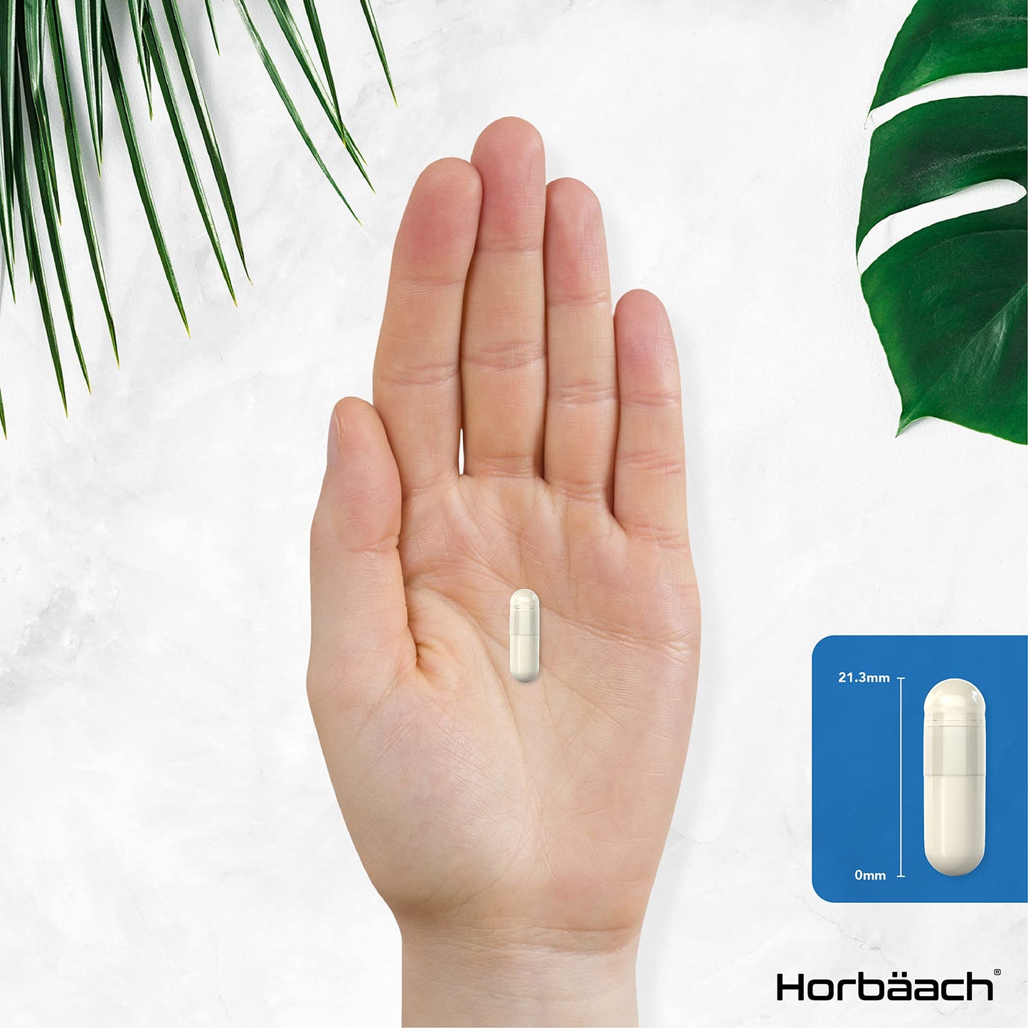 Vitamin B3 Niacin 500mg | 90 Vegan Capsules | Flush Free Nicotinamide Supplement HorbäachBuy Supplements Australia