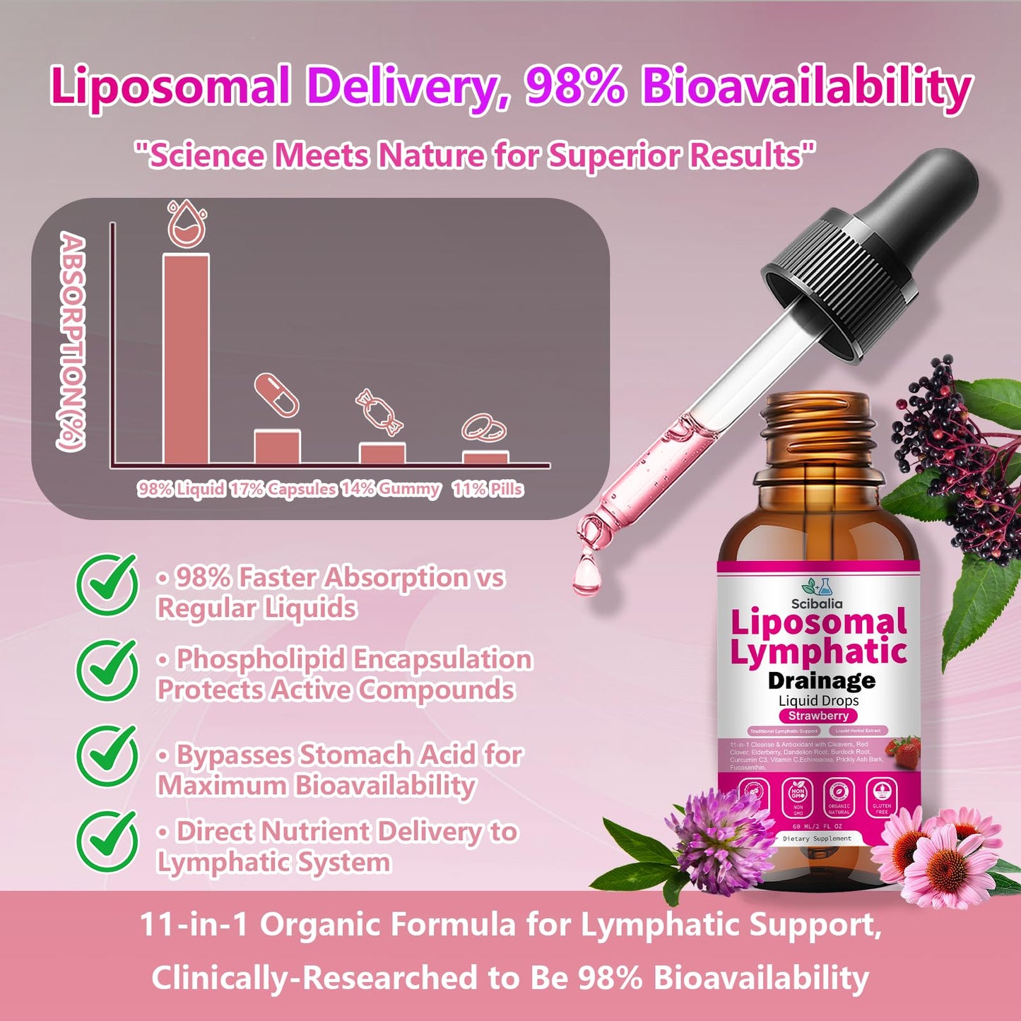 Scibalia Liposomal Lymphatic Drainage Drops, 11-in-1 Organic Lymphatic Support with Red Clover Echinacea Elderberry Burdock Root for Lymph Cleanse Immune Support & Daily Detox Vegan Non-GMO ScibaliaBuy Supplements Australia