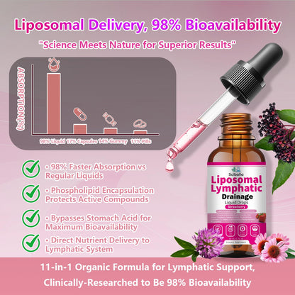 Scibalia Liposomal Lymphatic Drainage Drops, 11-in-1 Organic Lymphatic Support with Red Clover Echinacea Elderberry Burdock Root for Lymph Cleanse Immune Support & Daily Detox Vegan Non-GMO ScibaliaBuy Supplements Australia