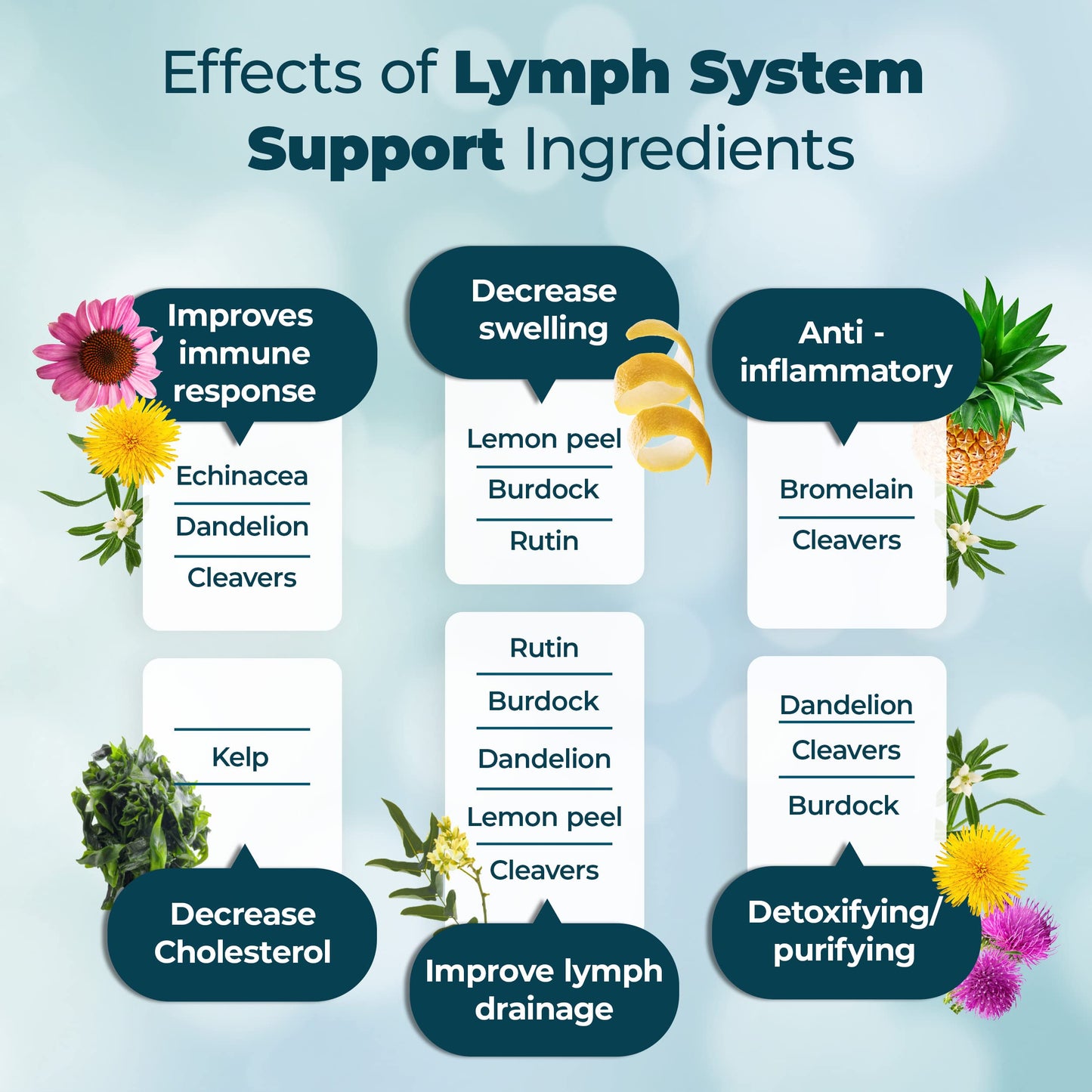 PUREHEALTH RESEARCH Lymph System Support Supplement - Lymphatic Drainage Supplement PUREHEALTH RESEARCHBuy Supplements Australia