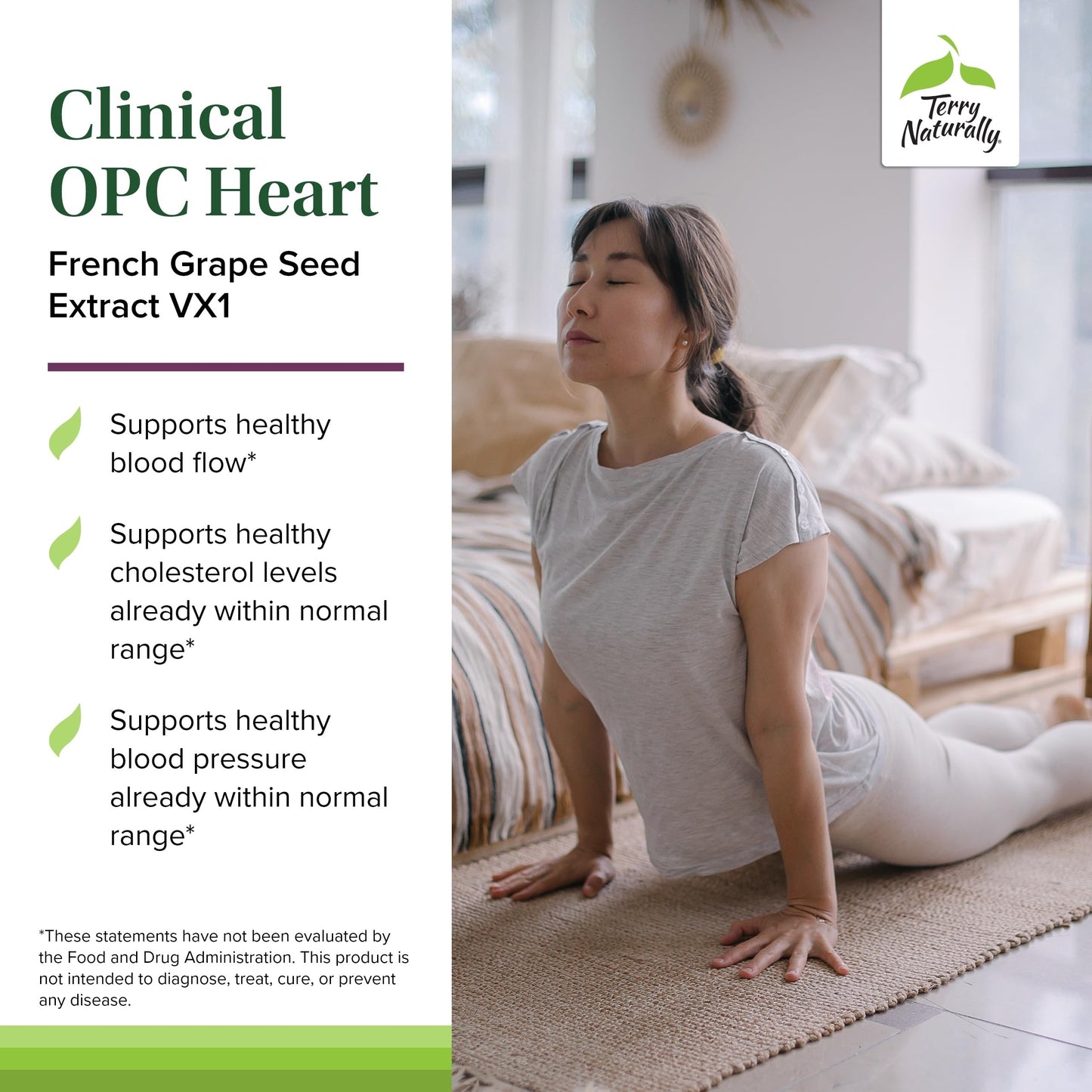 Terry Naturally Clinical OPC Heart - Heart Health Supplement with Magnesium, Vitamin B6, Grape Seed Extract - Dietary Supplement for Artery Health & Circulation - 60 Capsules Terry NaturallyBuy Supplements Australia