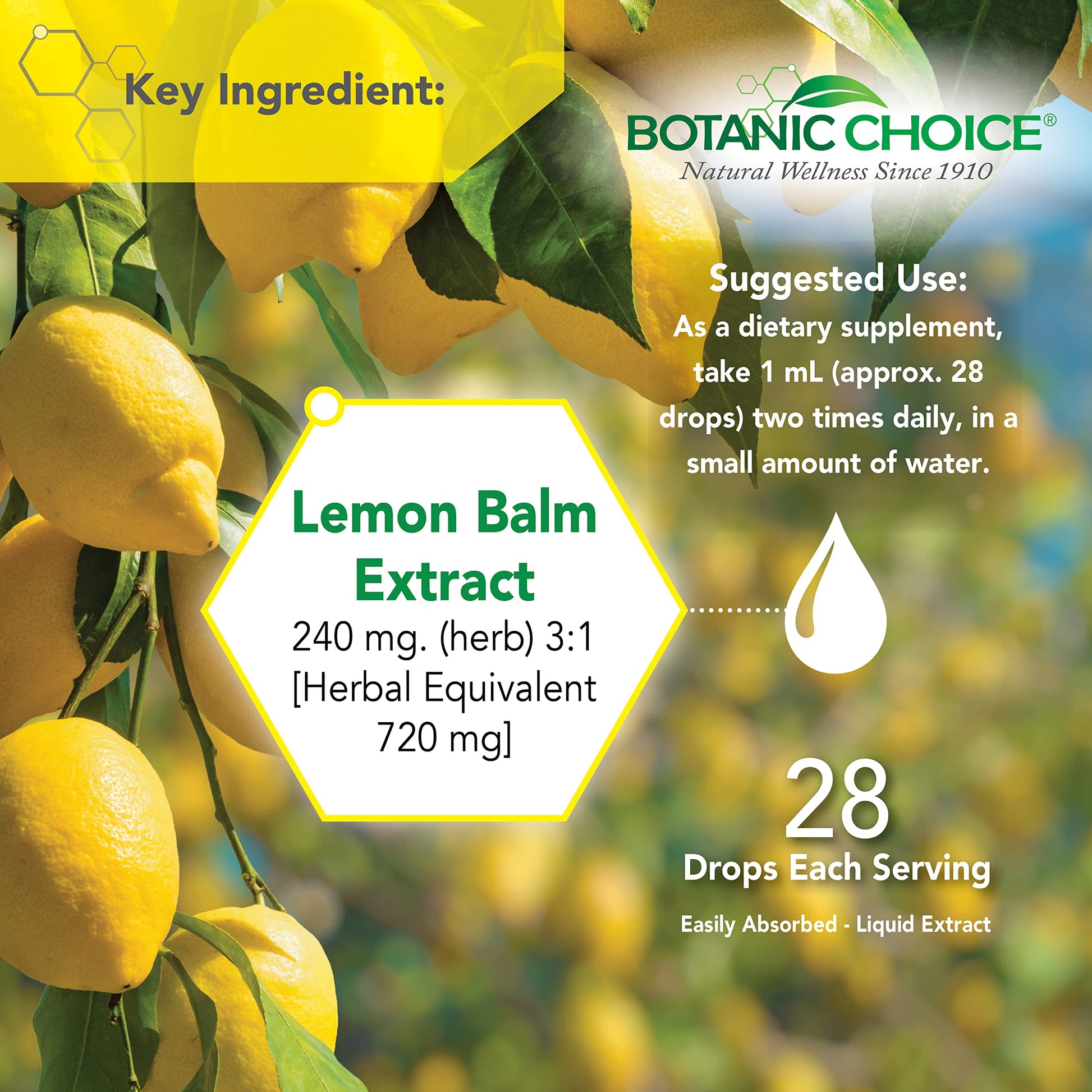 Botanic Choice Mega Fruits and Veggies Blend (60 Capsules) + Lemon Balm Tincture (1 fl oz) Bundle - Energy Balance & Superfood Supplement + Relaxation and Sleep Support Botanic ChoiceBuy Supplements Australia