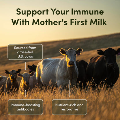 Rhea Bovine Colostrum Supplement for Women, Colostrum Capsules for Gut Health, Digestion, Bloating, Beauty, Immune Support, Bovine Colostrum for Humans, Colostrum Pills (60caps) RHEASILVIABuy Supplements Australia