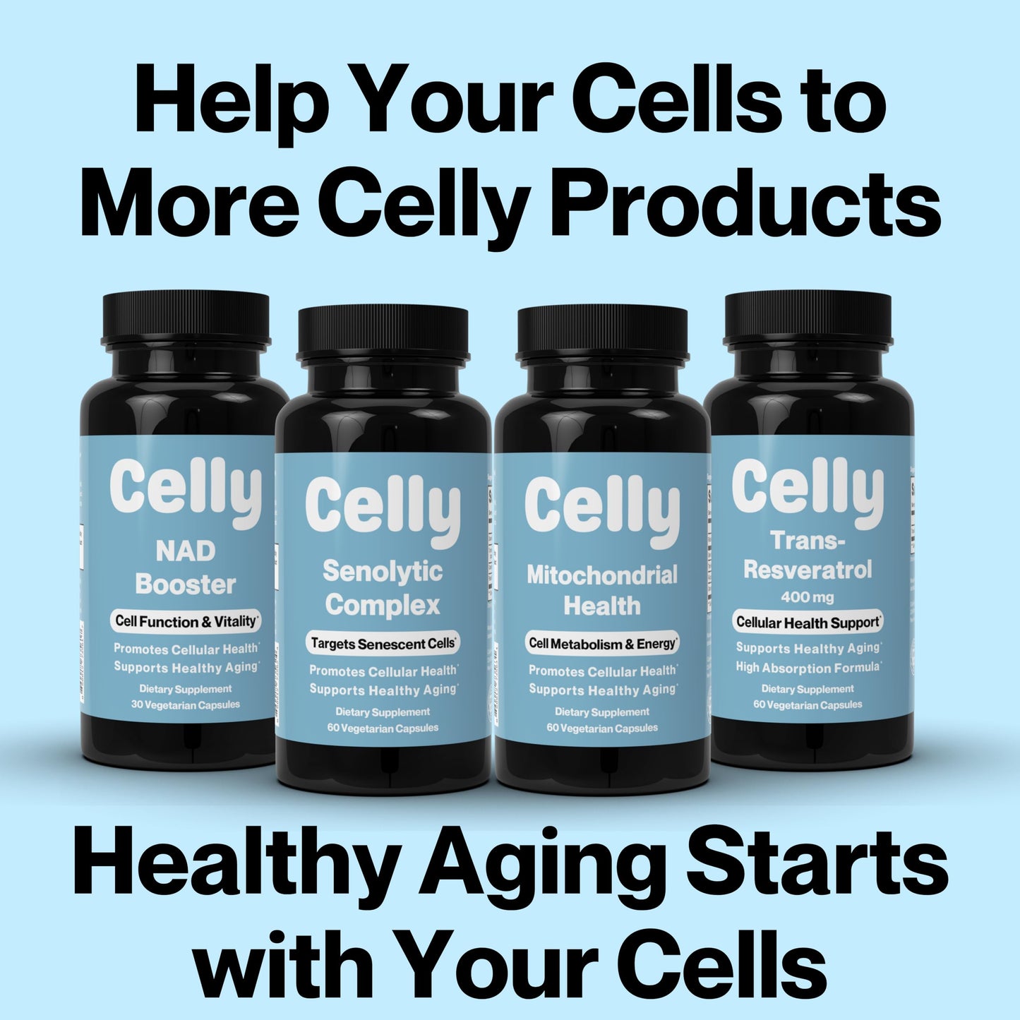 Celly Autophagy Activator | Longevity Supplement for Cellular Nutrition and Healthy Aging | Promotes Cell Renewal with Spermidine, Pterostilbene, Fisetin, and NAC | Made in USA & 3rd Party Tested CellyBuy Supplements Australia
