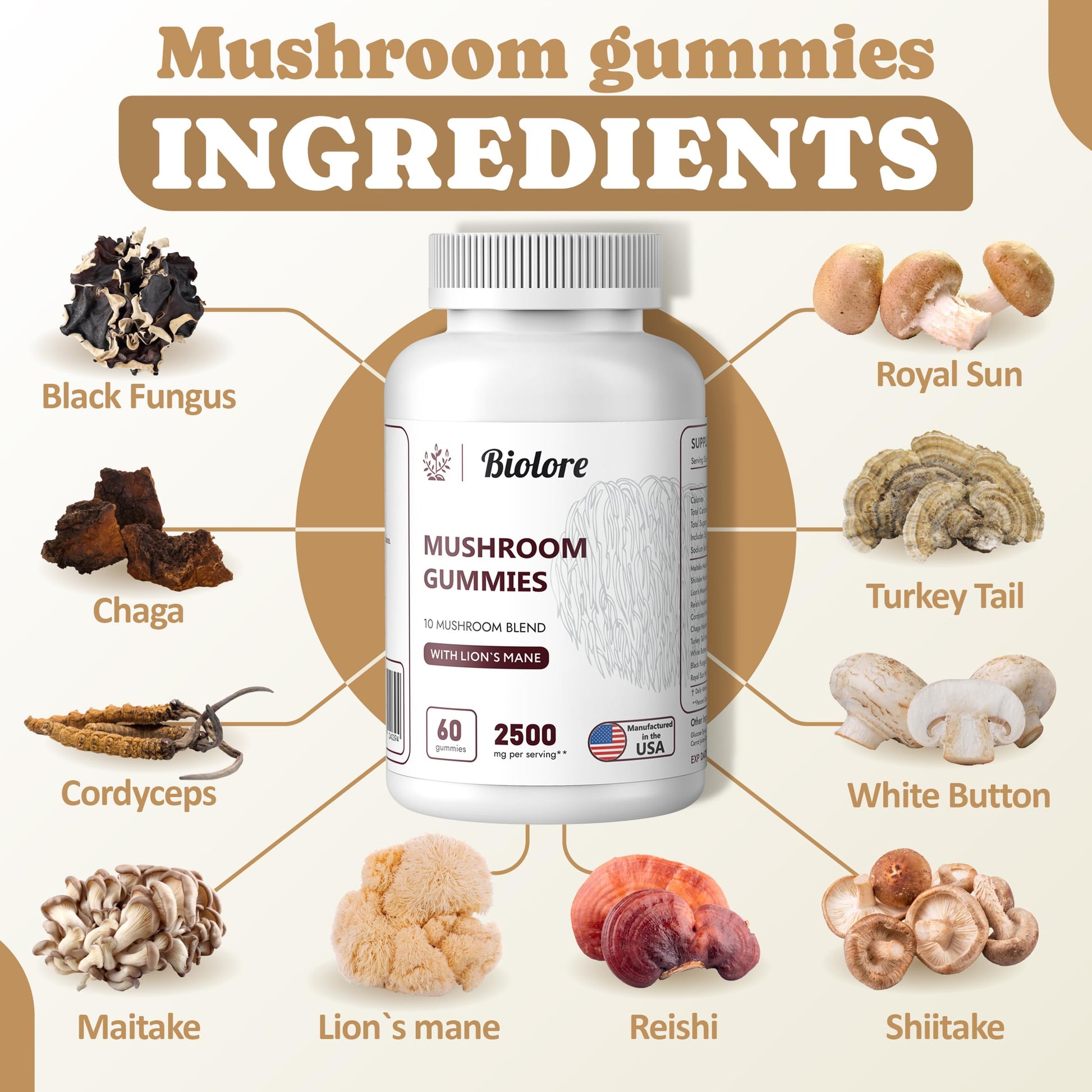 Biolore Mushroom Complex Gummies: 10 Powerful Mushrooms with Chaga, Lions Mane BioloreBuy Supplements Australia