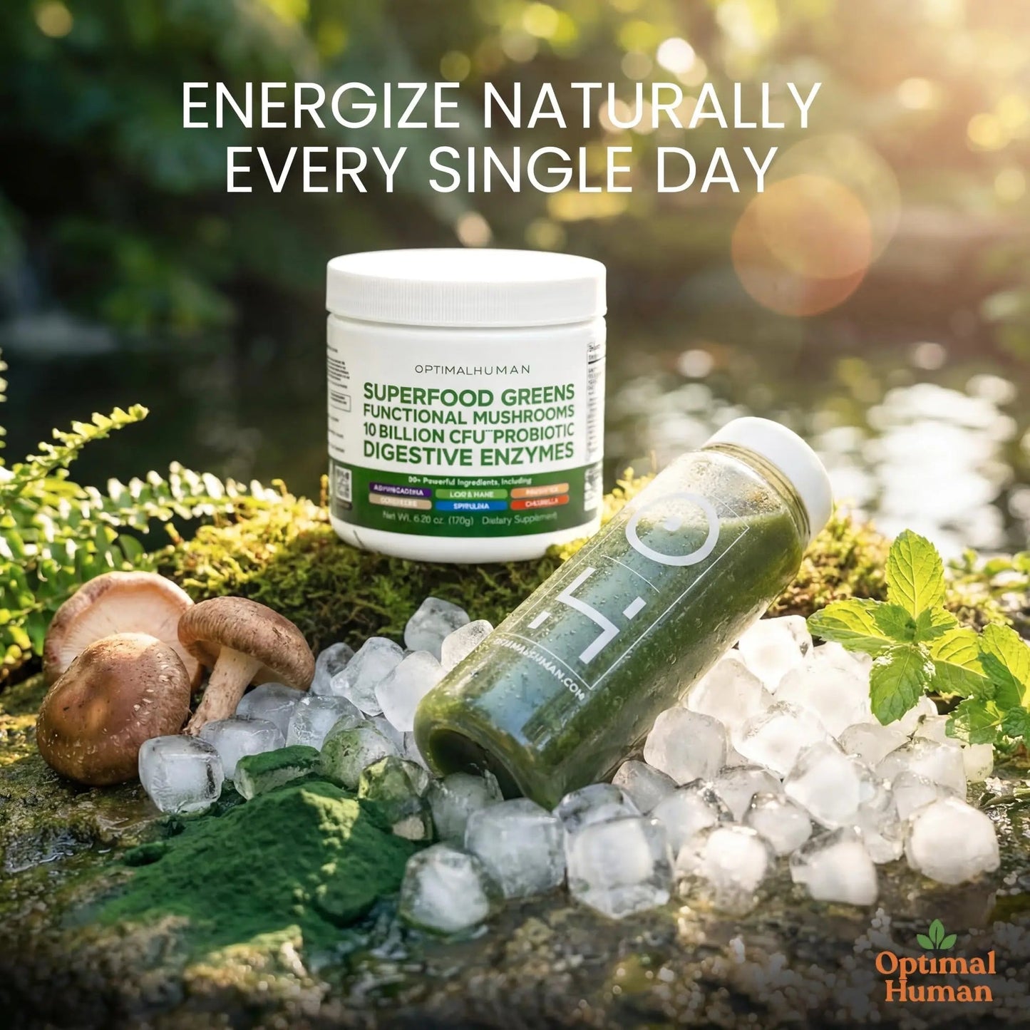 Optimal Human Superfood Greens Powder – 90+ Ingredient Blend with Lion’s Mane Supplement, Ashwagandha & Turmeric O H