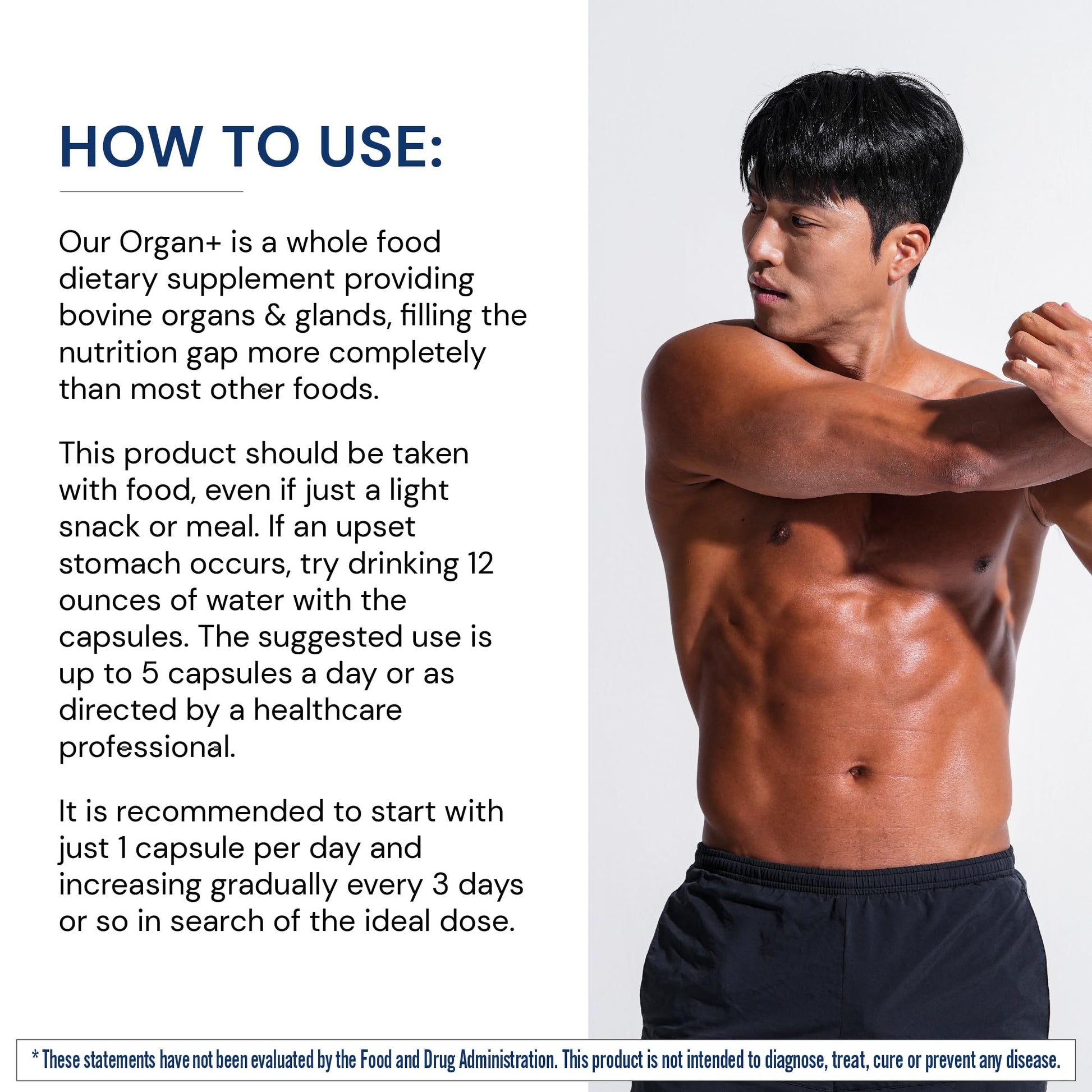 BodyHealth Organ+ Grass-Fed Glandular Organ Complex, Grassfed Beef Organ Supplement, Dessicated Beef Liver, Heart, Kidney, Pancreas, Spleen, Non GMO, Adrenal, Supplement, (150 Capsules) BodyHealthBuy Supplements Australia