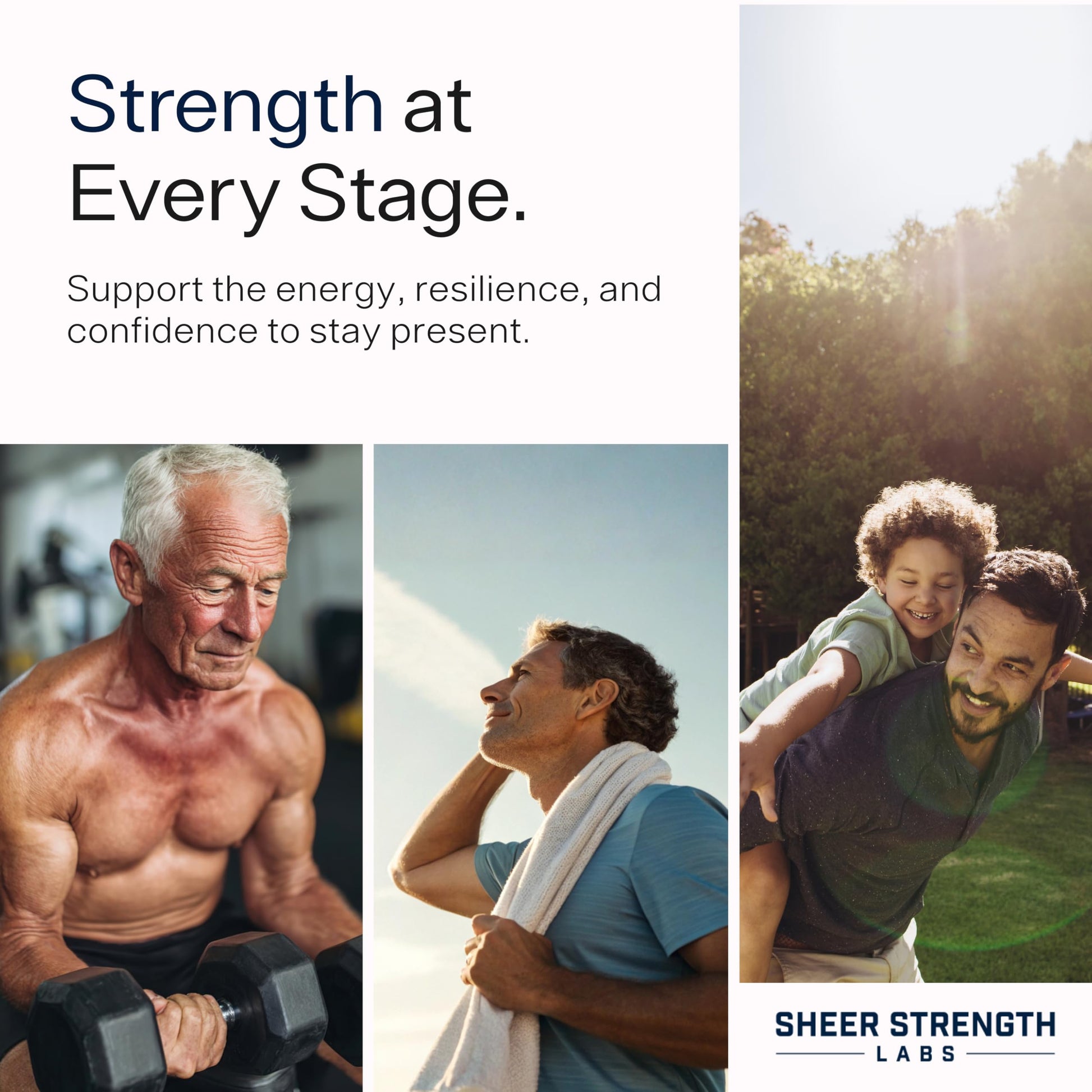 Testosterone Booster for Men - Sheer Alpha T-Booster - Clinically Backed Dose, Strongest Formula - Made in USA - Premium Blend of Fadogia Agrestis Tongkat Ali and Shilajit. 30 Servings Sheer Strength LabsBuy Supplements Australia