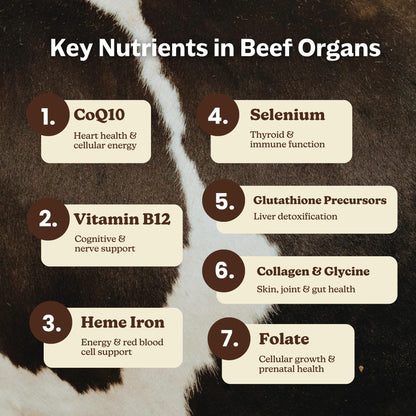 MK Supplements Grass-Fed Beef Organs Capsules | 5 Organs in Nature-Identical Ratios | B12, Copper & Heme Iron | Regeneratively Raised | 150 Capsules MK SupplementsBuy Supplements Australia