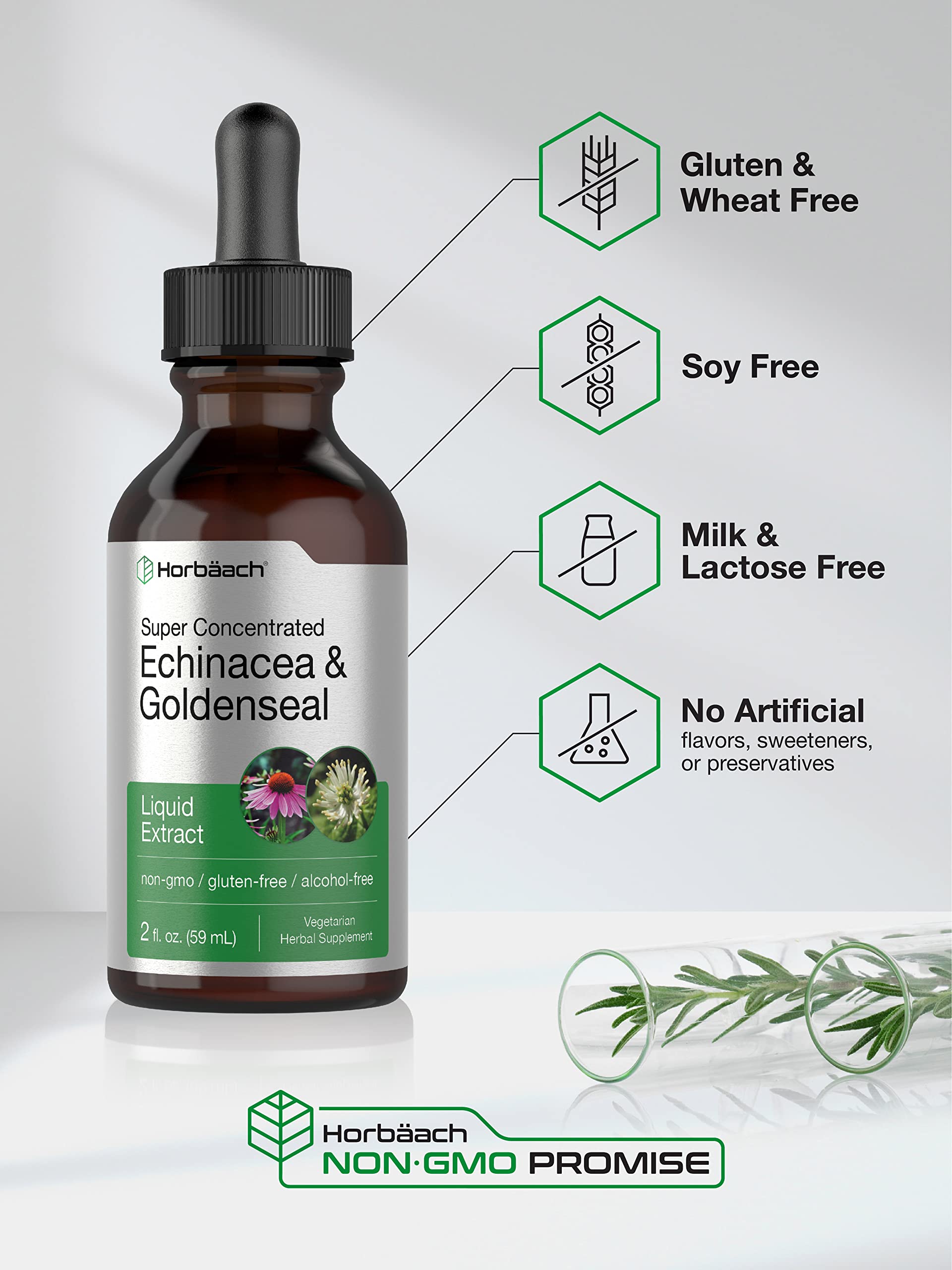 Echinacea Goldenseal Liquid Extract | 2 fl oz | Alcohol Free Tincture Drops | Vegetarian HorbäachBuy Supplements Australia
