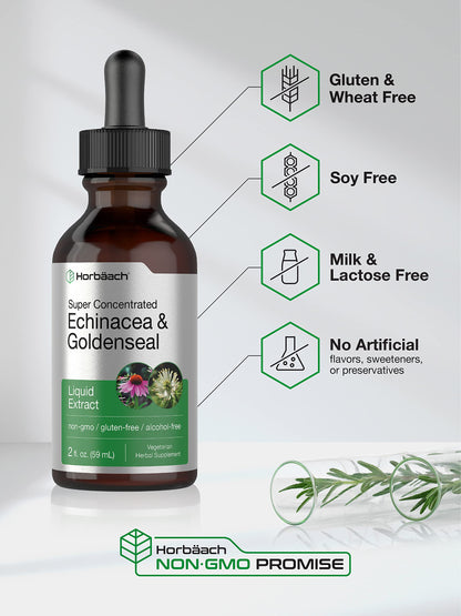 Echinacea Goldenseal Liquid Extract | 2 fl oz | Alcohol Free Tincture Drops | Vegetarian HorbäachBuy Supplements Australia