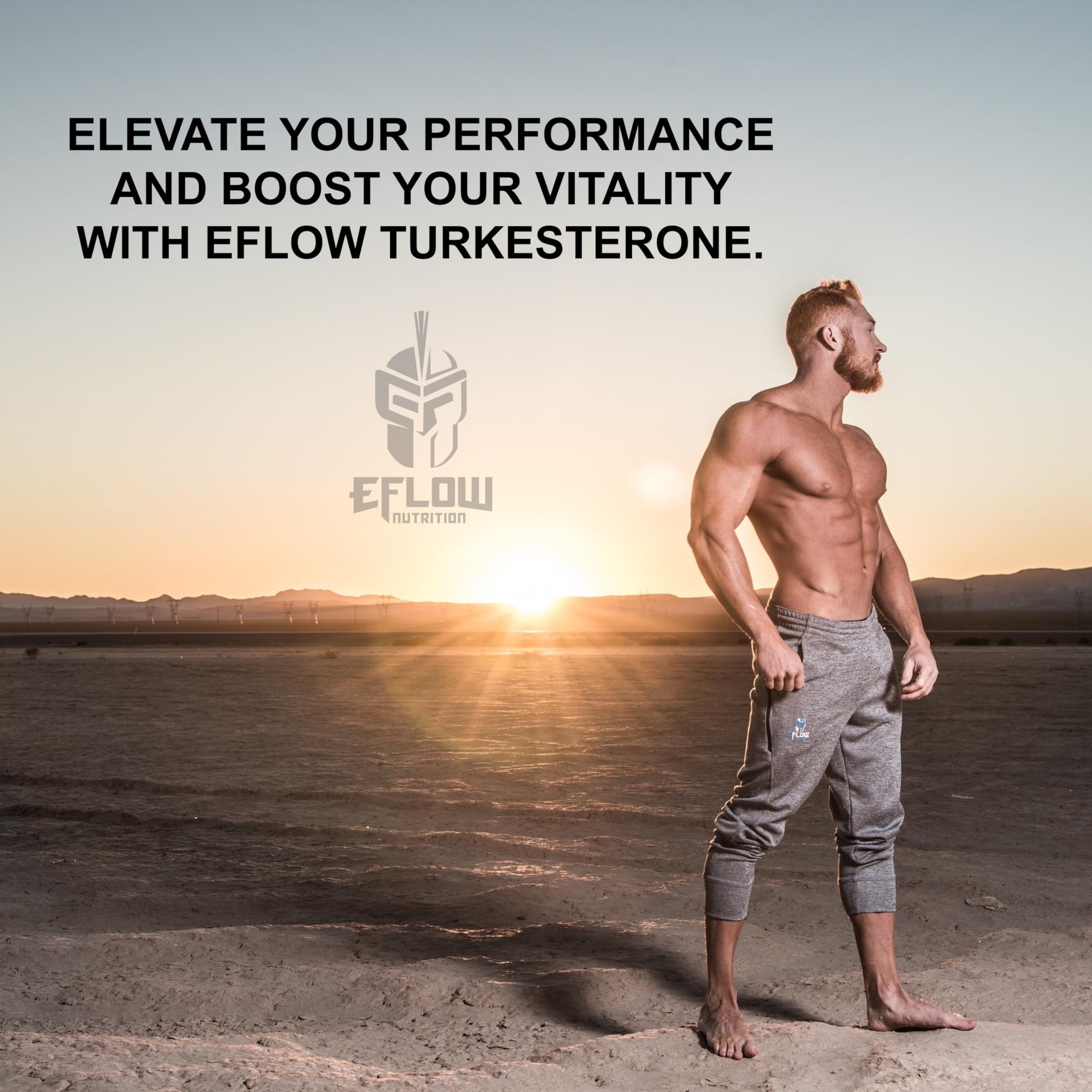 eFlow Nutrition Turkesterone (500 mg) Ajuga Turkestania Extract Complexed eFlow NutritionBuy Supplements Australia