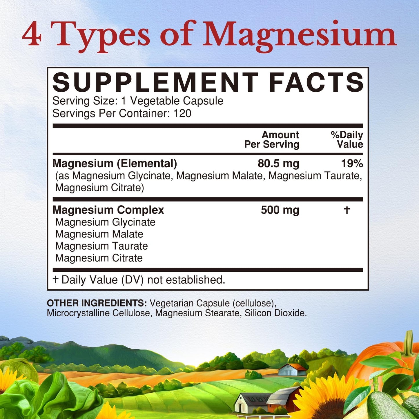 Vitalitown Magnesium Complex Supplement 500mg - NSF Certified Magnesium Glycinate, Malate, Taurate & Citrate - Chelated High Absorption & Gentle on Stomach