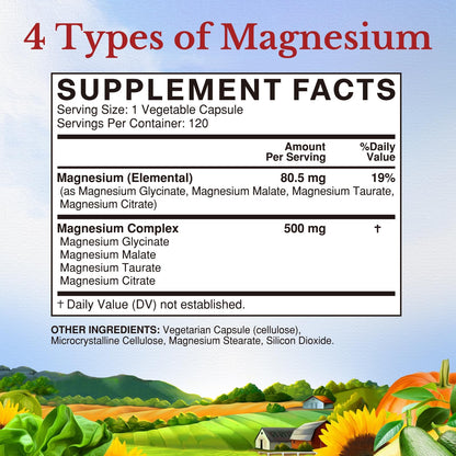 Vitalitown Magnesium Complex Supplement 500mg - NSF Certified Magnesium Glycinate, Malate, Taurate & Citrate - Chelated High Absorption & Gentle on Stomach
