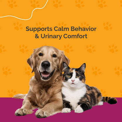 PureCat Urinary Tract Infection Care for Cat & Dog | Calming Urinary Tract & Kidney Support for Pets | Bladder Infection Treatment | UTI Drops | Veterinarian Recommended PureCatBuy Supplements Australia