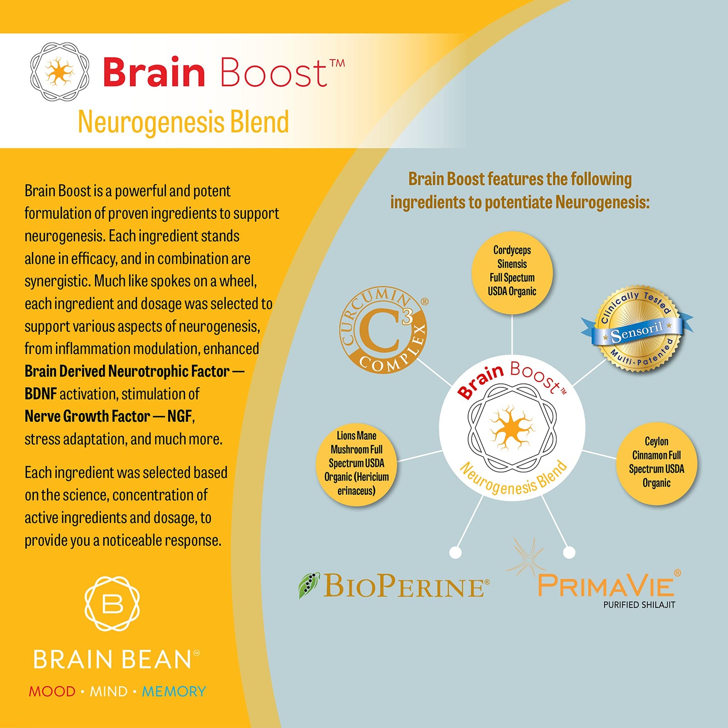 Brain Bean Brain-Boost (Formerly Brain BeanBuy Supplements Australia