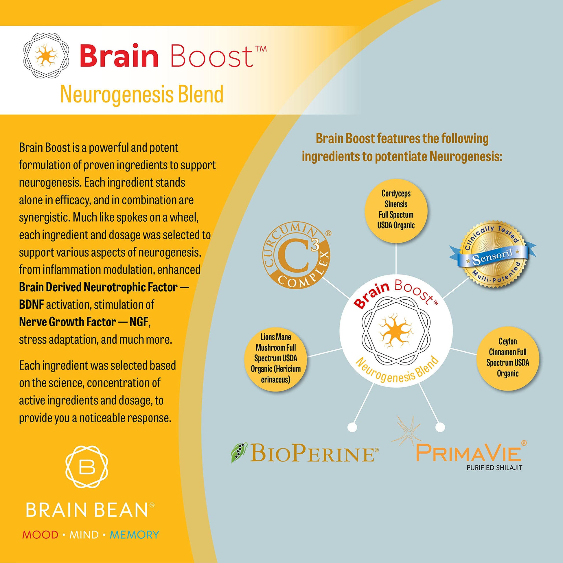 Brain Bean Brain-Boost (Formerly Brain BeanBuy Supplements Australia