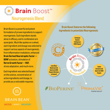 Brain Bean Brain-Boost (Formerly Brain BeanBuy Supplements Australia