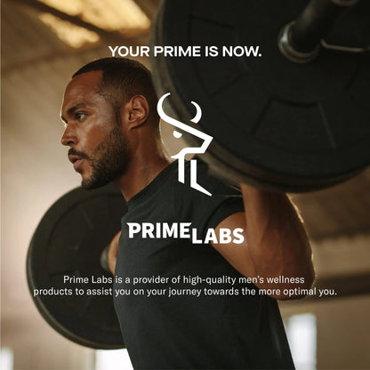 Prime Labs Night Duty - Nighttime Testosterone Booster & Sleep Support - PM Rest & Muscle Recovery Supplements - 60 Count Prime LabsBuy Supplements Australia
