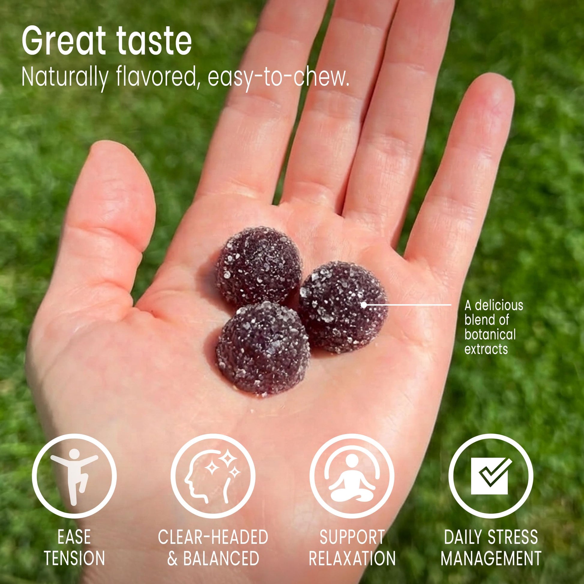 Sunsoil A World of Calm Organic Gummies, USDA Certified Organic, No Glucose, Vegan, Gluten-Free, Plant-Based Sunsoil SupplementsBuy Supplements Australia