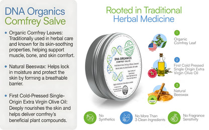 DNA Organics Comfrey Salve Ointment 2oz – Organic Herbal Salve for Bones, Muscles, Joints, Knees, Skin & Tattoo Care. Herbal Balm for Soothing Relief. Handcrafted, Slow-Infused, No Chemical Fillers Wild CastleBuy Supplements Australia
