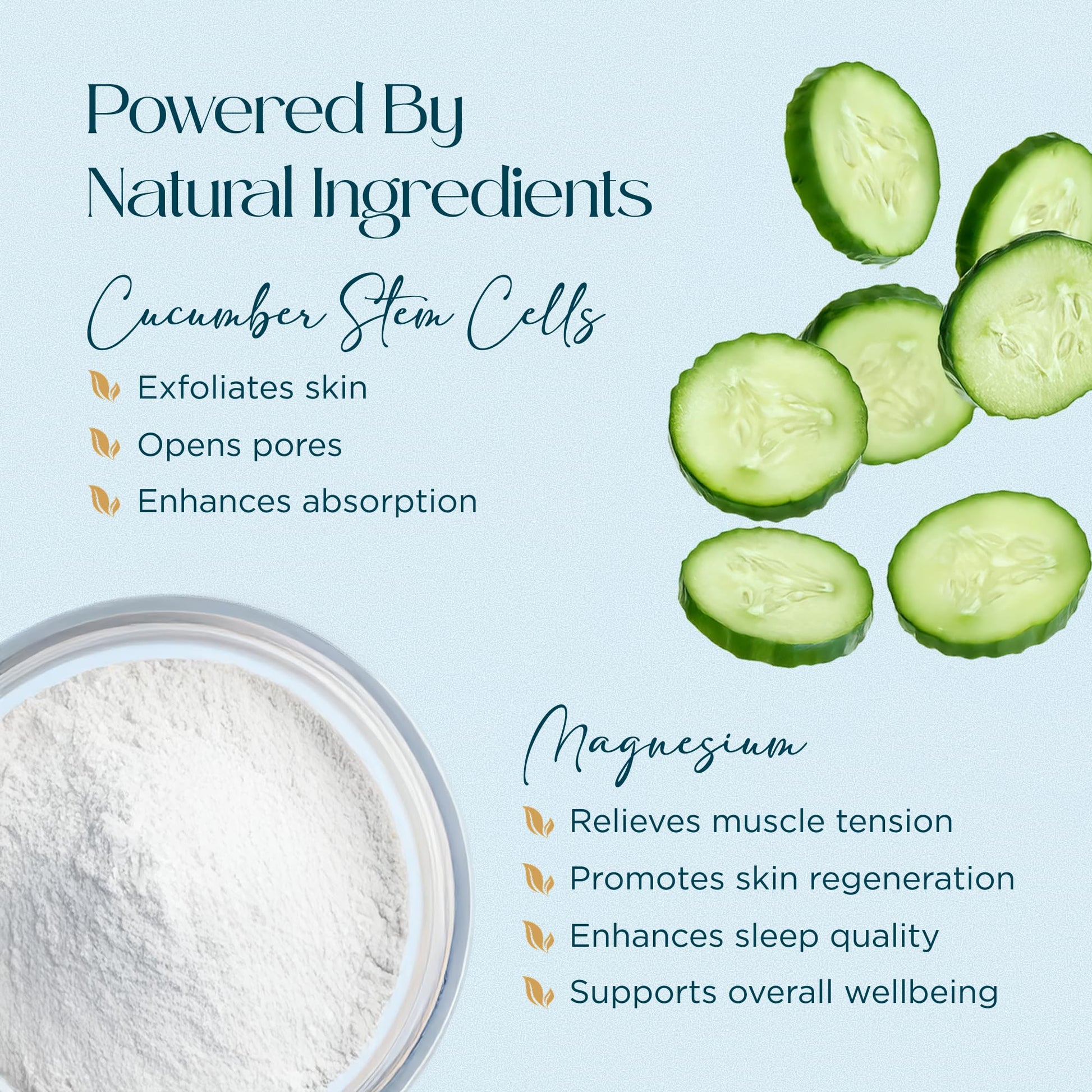 Abundant Natural Health MAG I.C. Magnesium Gel with Cucumber Stem Cells - Fast Muscle Relief, Soothing, Stingless, Safe for Sensitive Skin, Fragrance-Free, 200mL Abundant Natural HealthBuy Supplements Australia