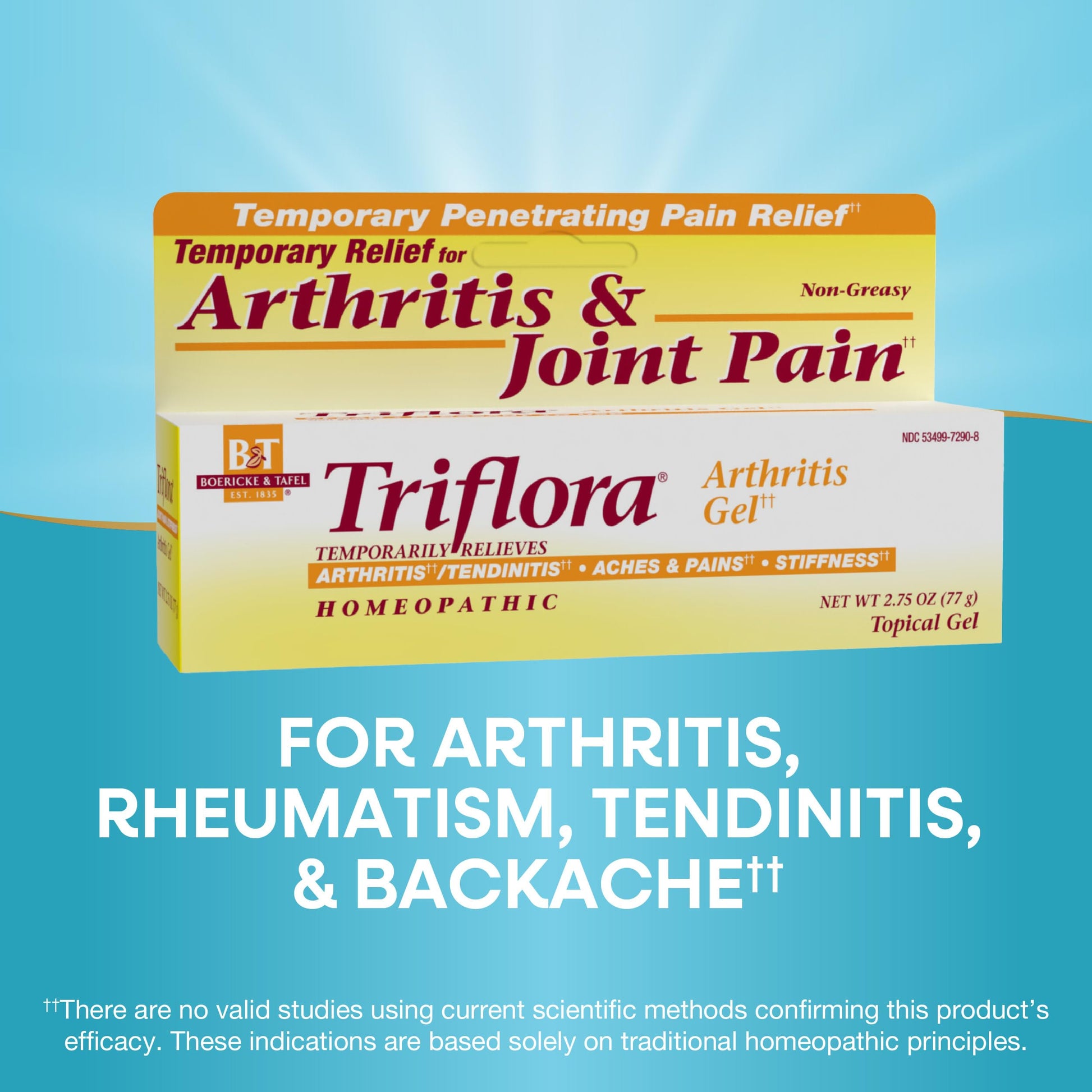Boericke and Tafel Triflora Arthritis Gel, 2.75 Ounce Nature's WayBuy Supplements Australia
