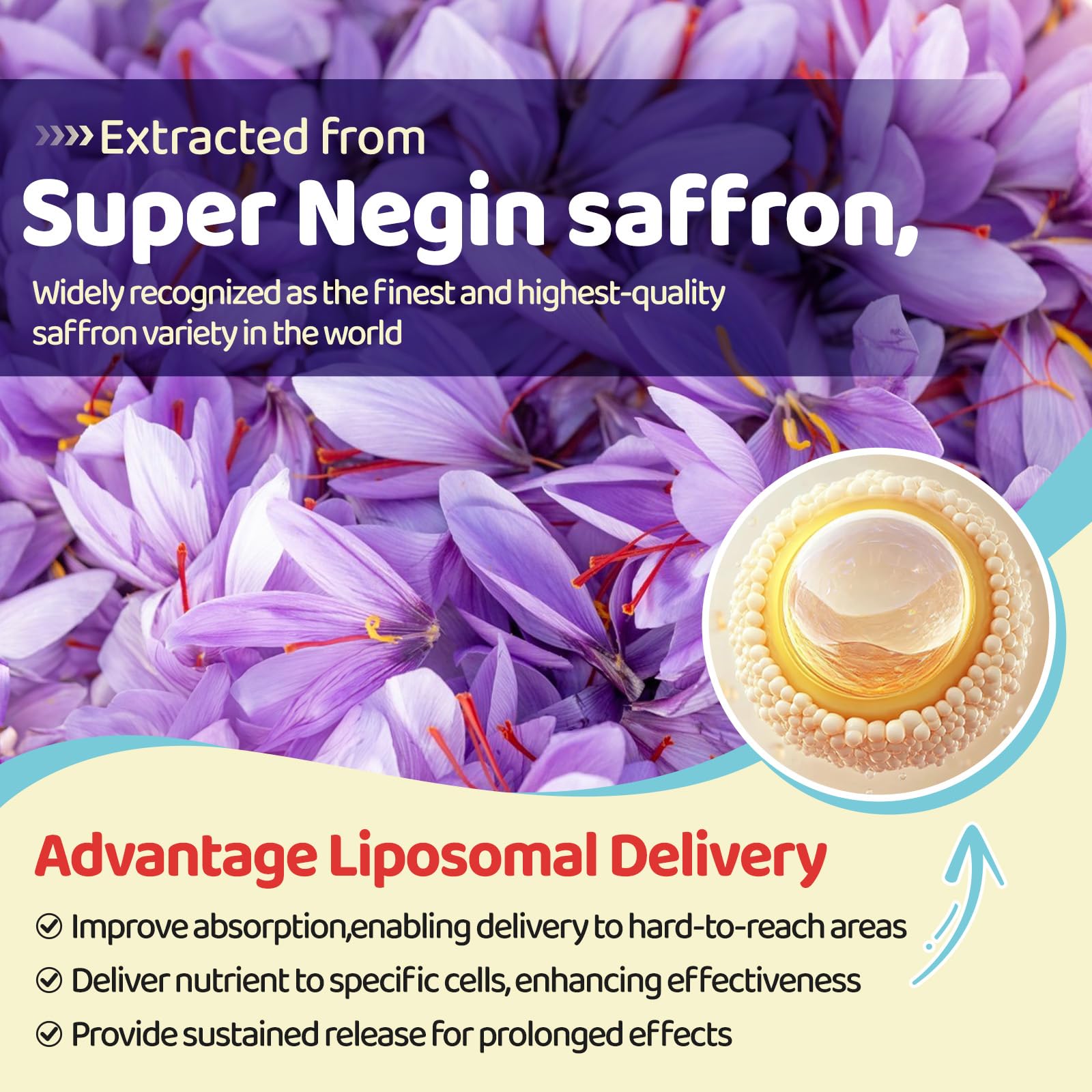 Liposomal Saffron Gummies for Kids 4+, Saffron Supplements w/Holy Basil, Rosemary, Magnesium Glycinate, Omega-3 & More, Brain Focus Support Supplement, Vegan, Organic, Sugar Free, 60 Chewables duwhotBuy Supplements Australia