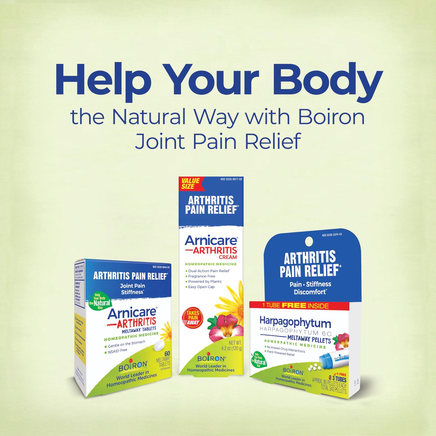 Boiron Arnicare Arthritis Cream Pump for Pain Relief of Knees, Hands, Wrists, Elbows, Joints & Muscles – Quickly Absorbed & Fragrance-Free – 4.2 oz BoironBuy Supplements Australia